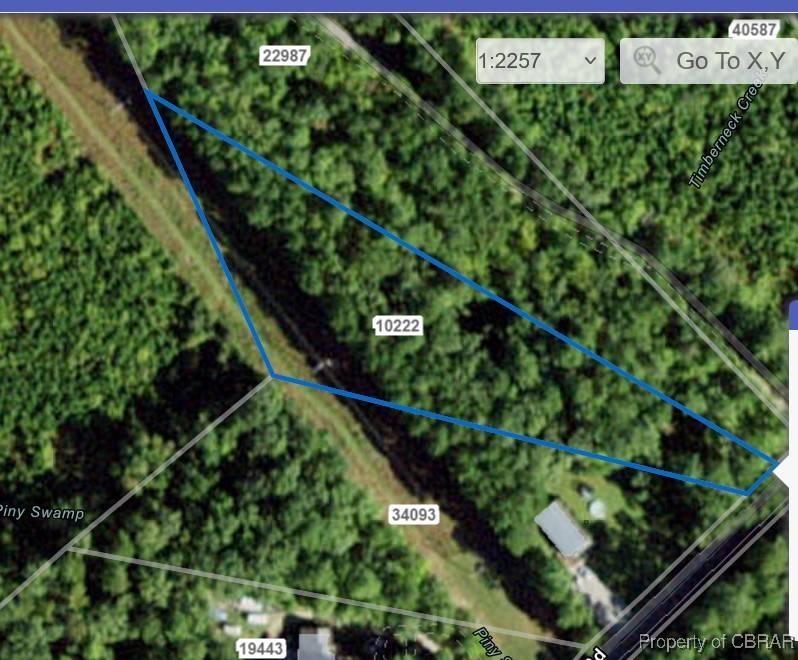Hayes, VA 23072,0 Piney Swamp RD