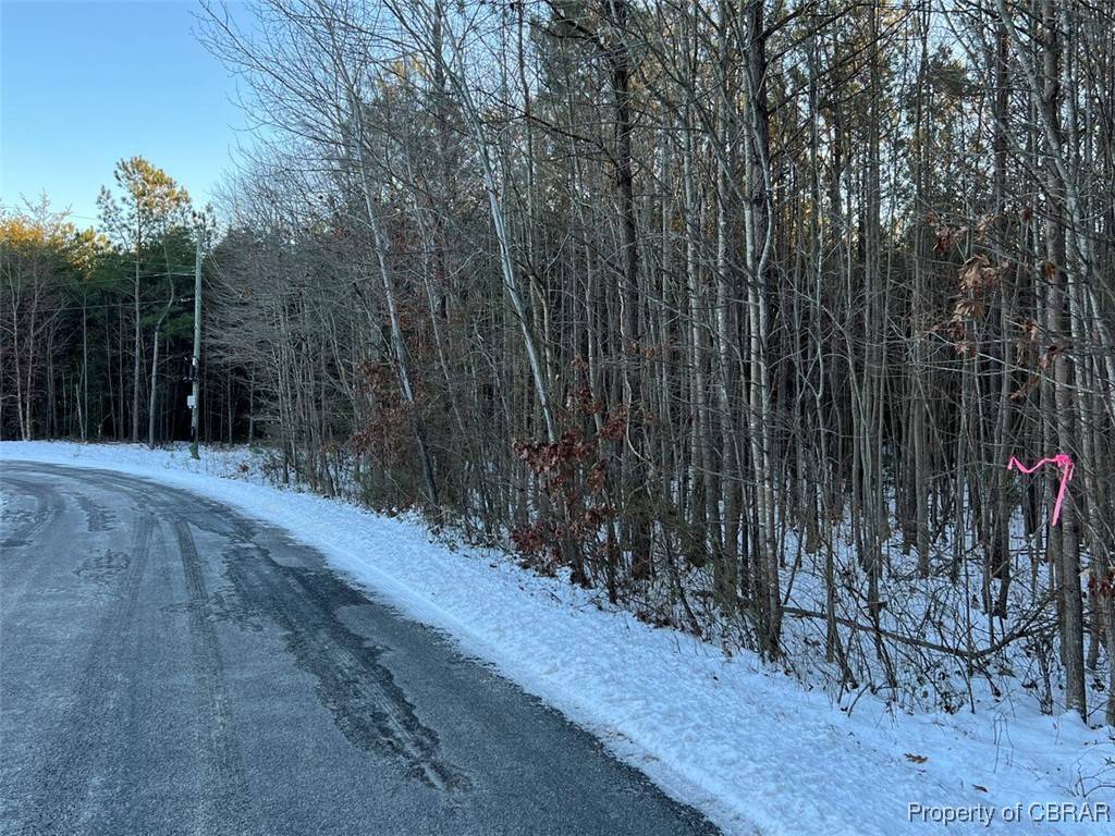 Laneview, VA 22504,TBD McKans RD