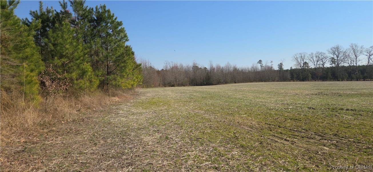 Shacklefords, VA 23156,0 Taylorsville RD