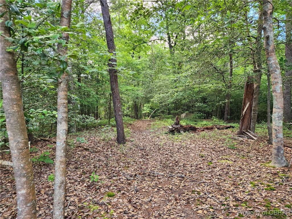 Gloucester, VA 23061,.52 AC Pine TRL