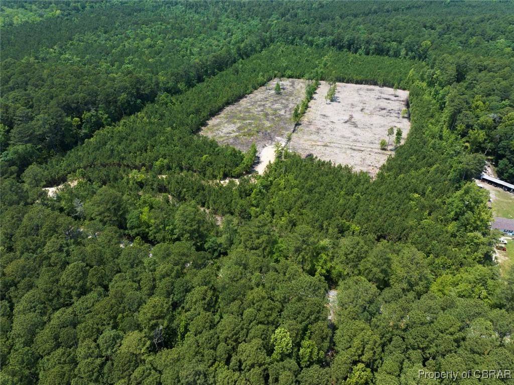 Cobbs Creek, VA 23035,20 ac Ridge RD