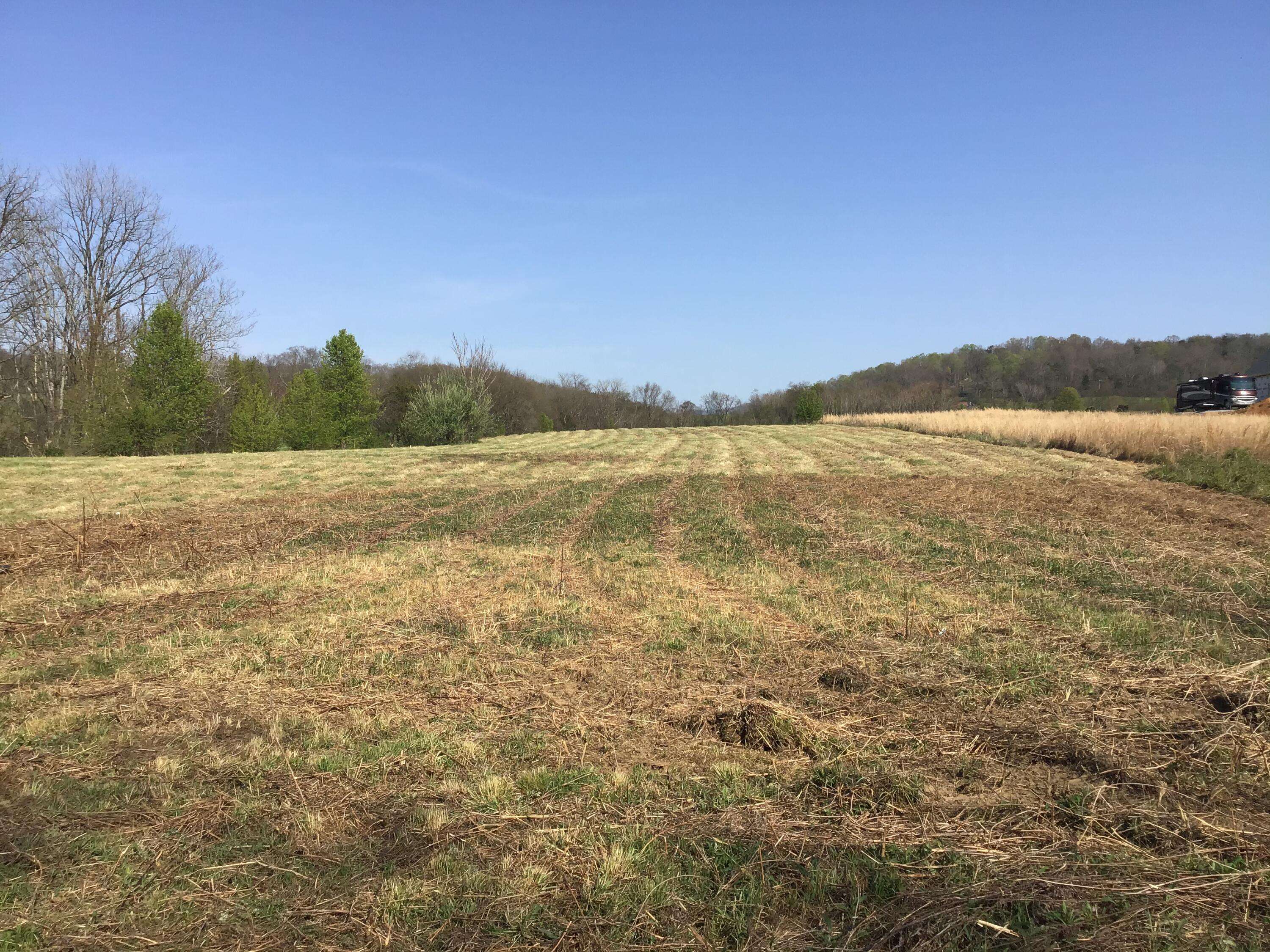 Parrottsville, TN 37843,Lot 14 Secluded River CIR