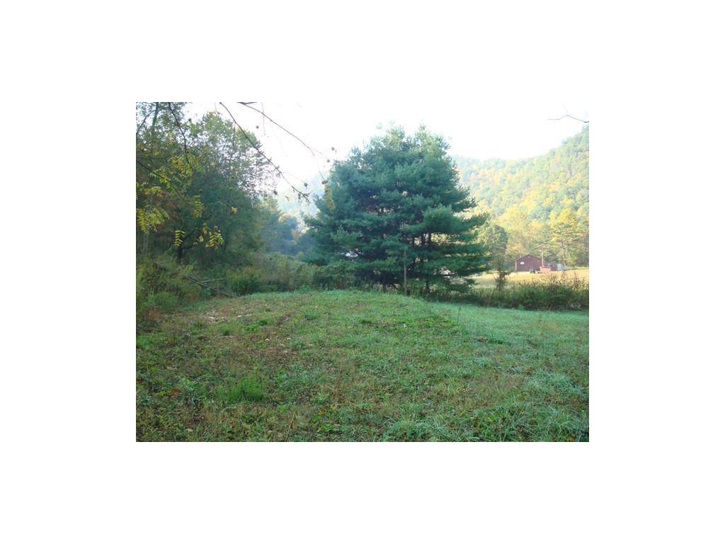 Butler, TN 37640,00 Roan Creek RD