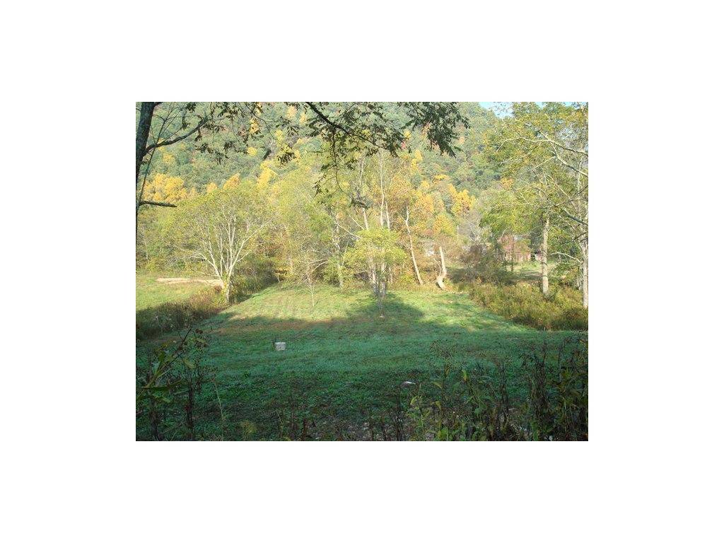 Butler, TN 37640,00 Roan Creek RD