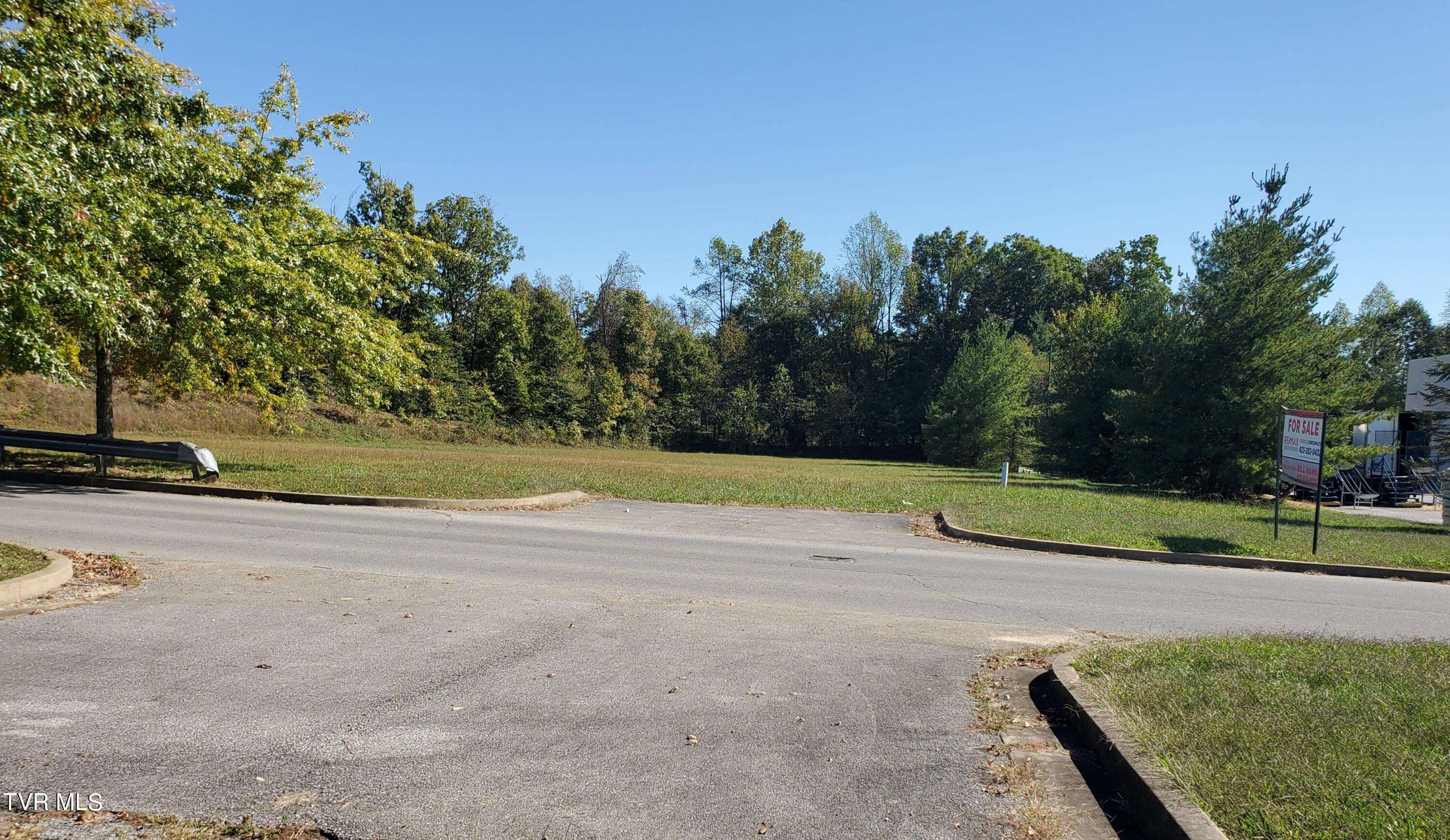 Jonesborough, TN 37659,TRACT 4 HEADTOWN RD