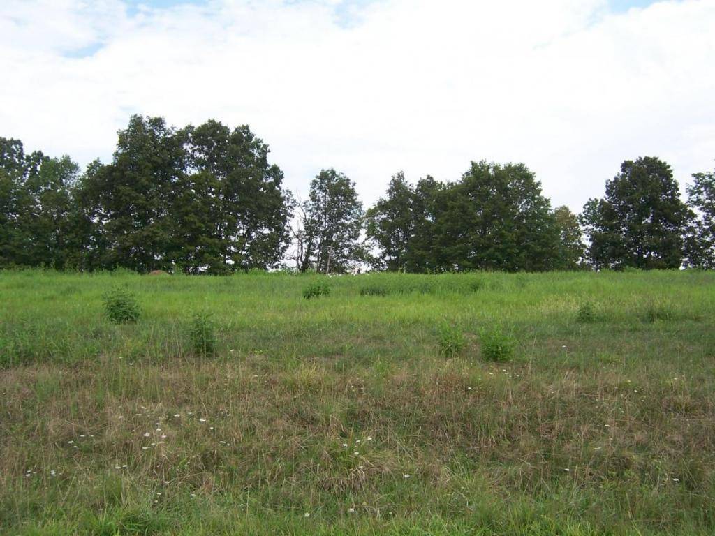 Abingdon, VA 24211,0 Lake Bend Court, Lot 33