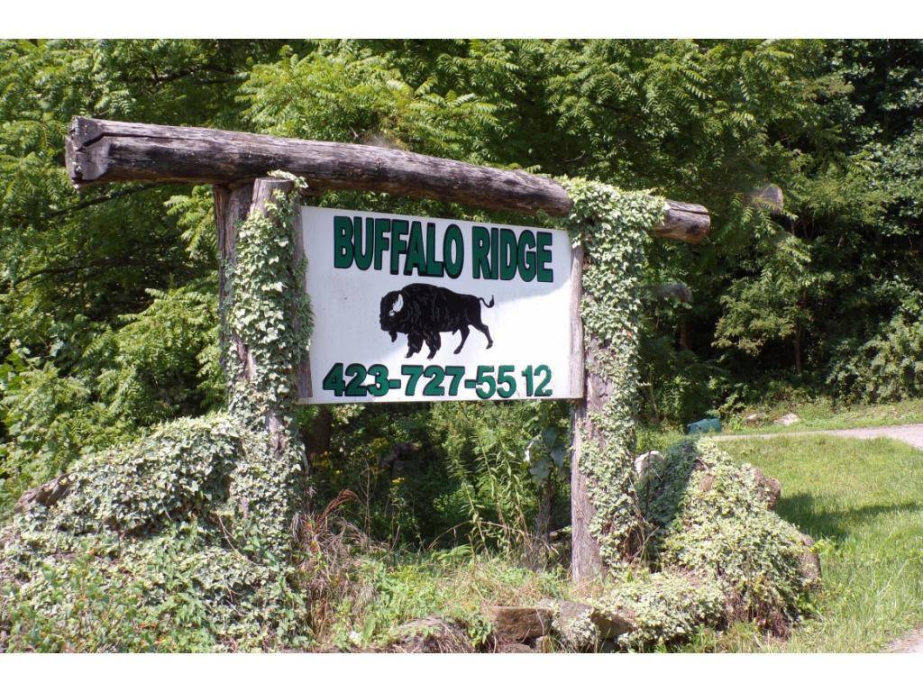 Mountain City, TN 37683,Tbd Buffalo Run Lot 8