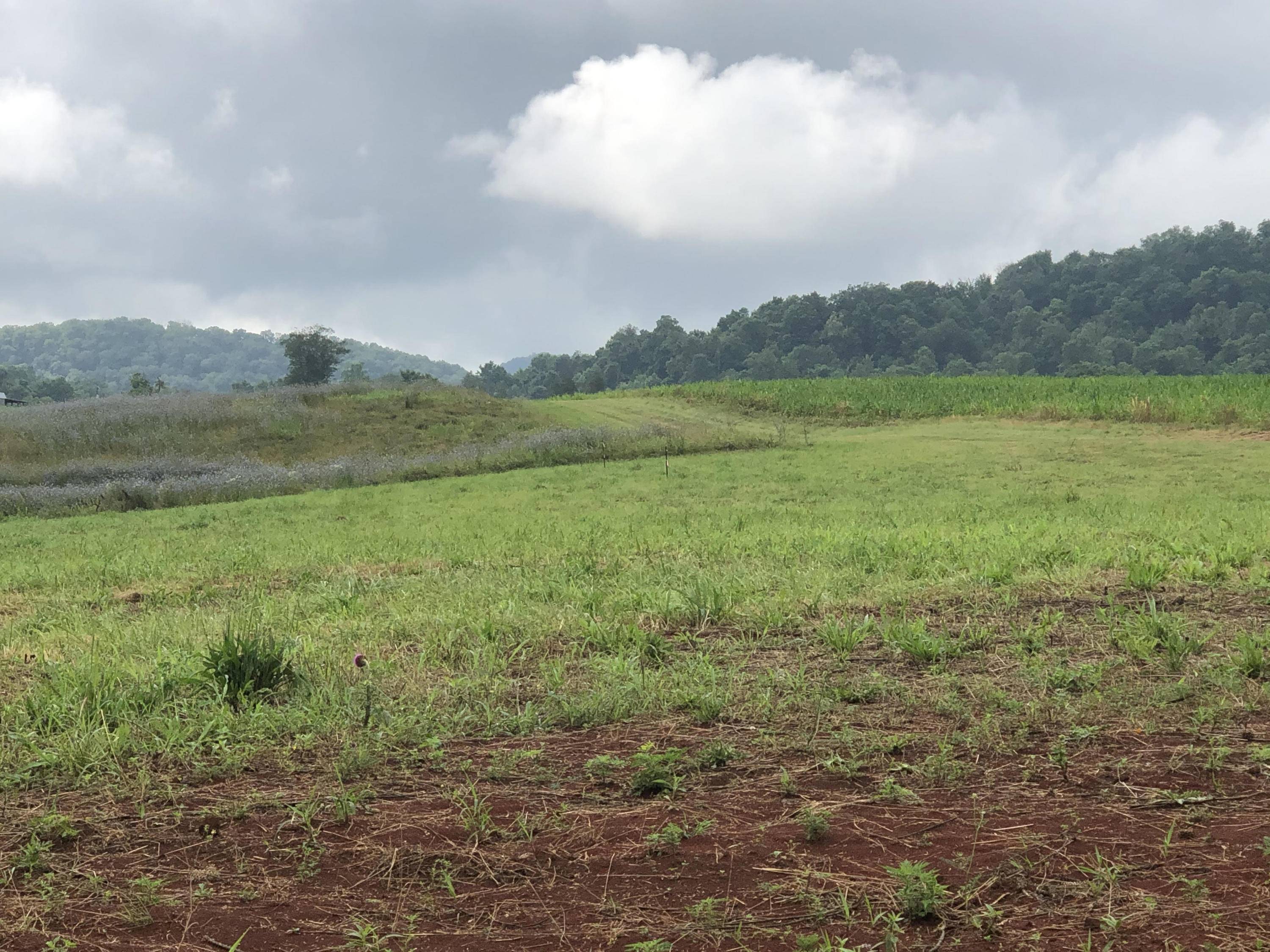 Rogersville, TN 37857,00 Hickory Cove RD