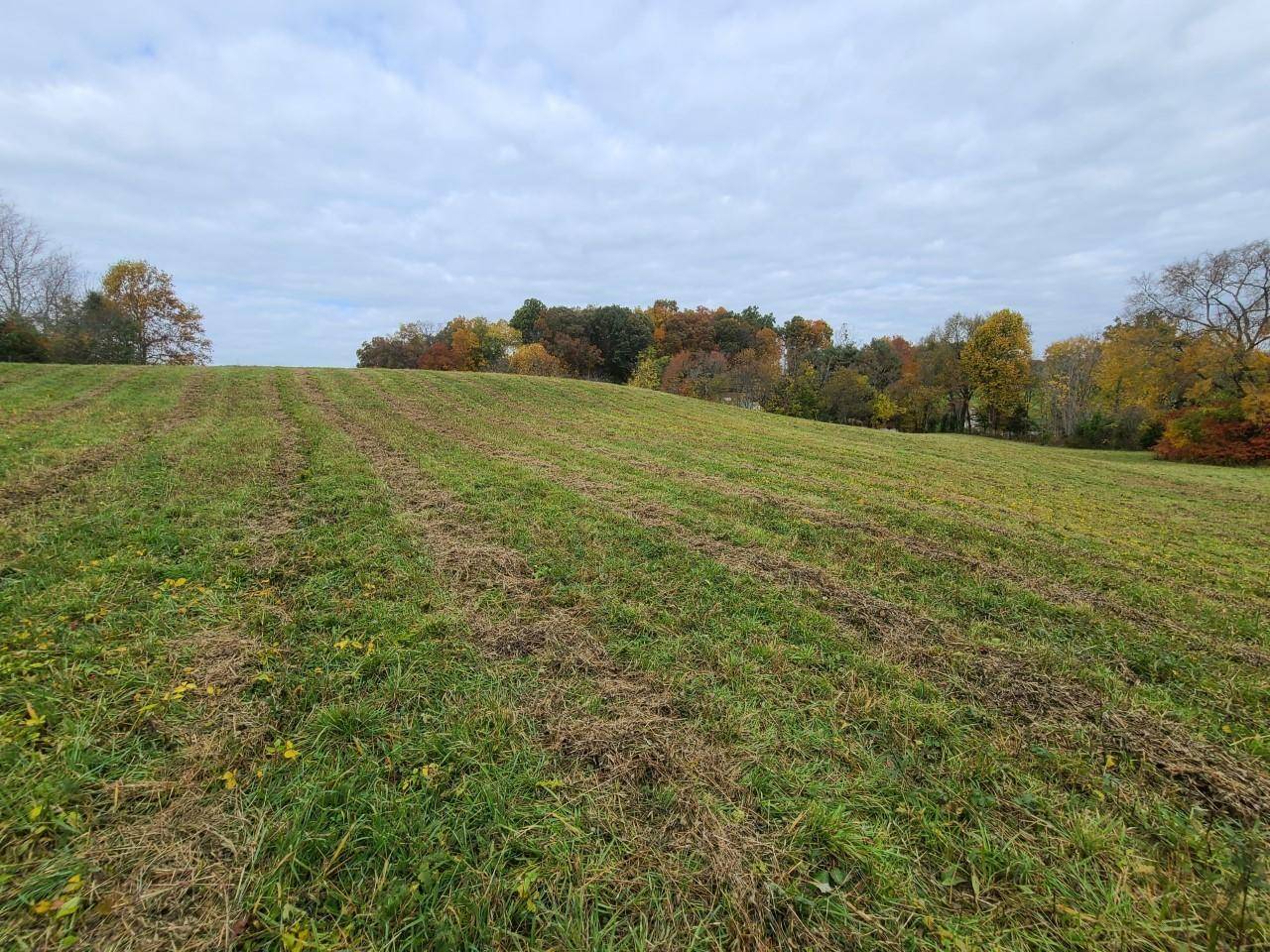 Chuckey, TN 37641,0 Kingsport HWY