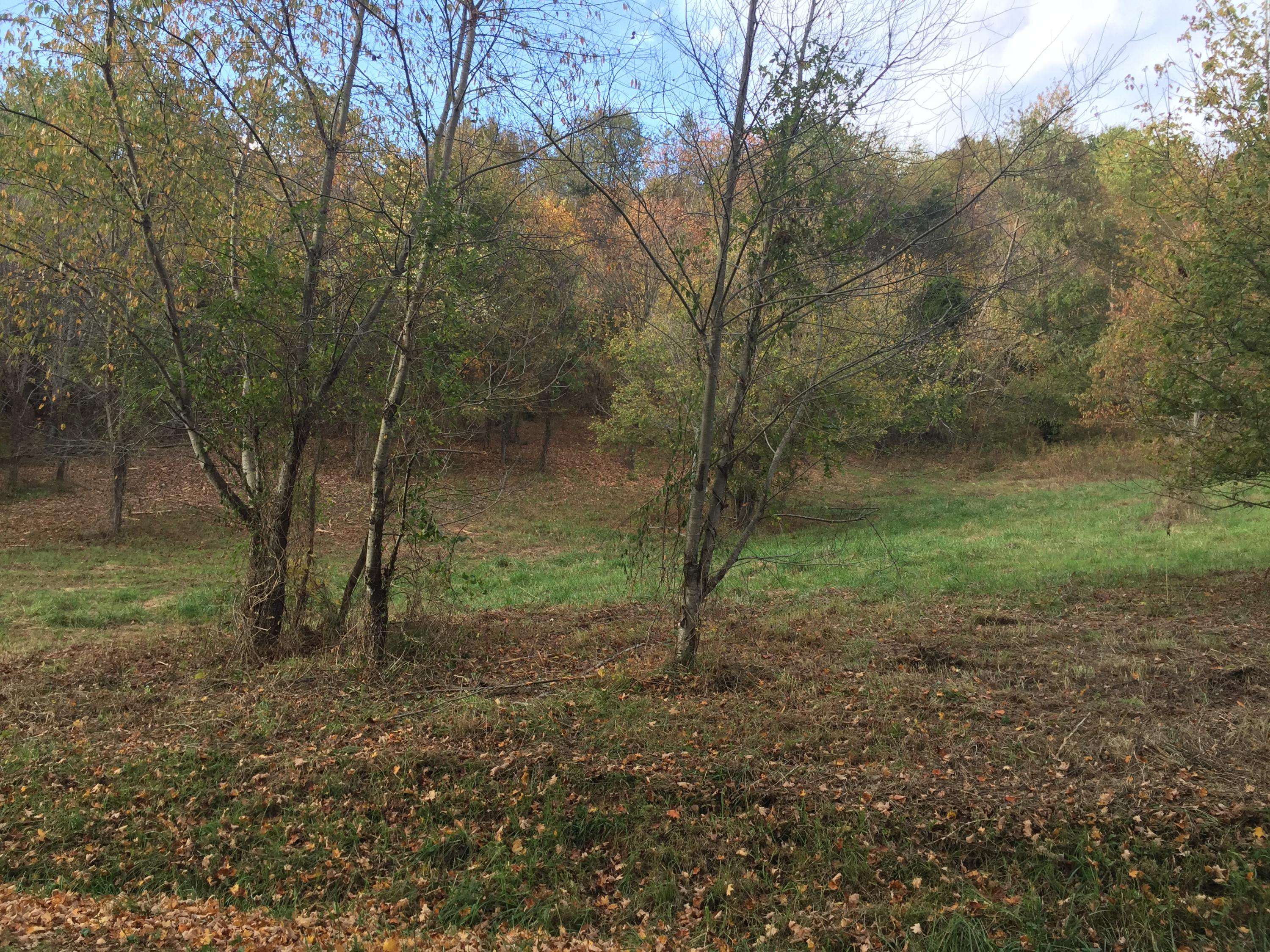 Chuckey, TN 37641,Lot 4 Charles Johnson RD