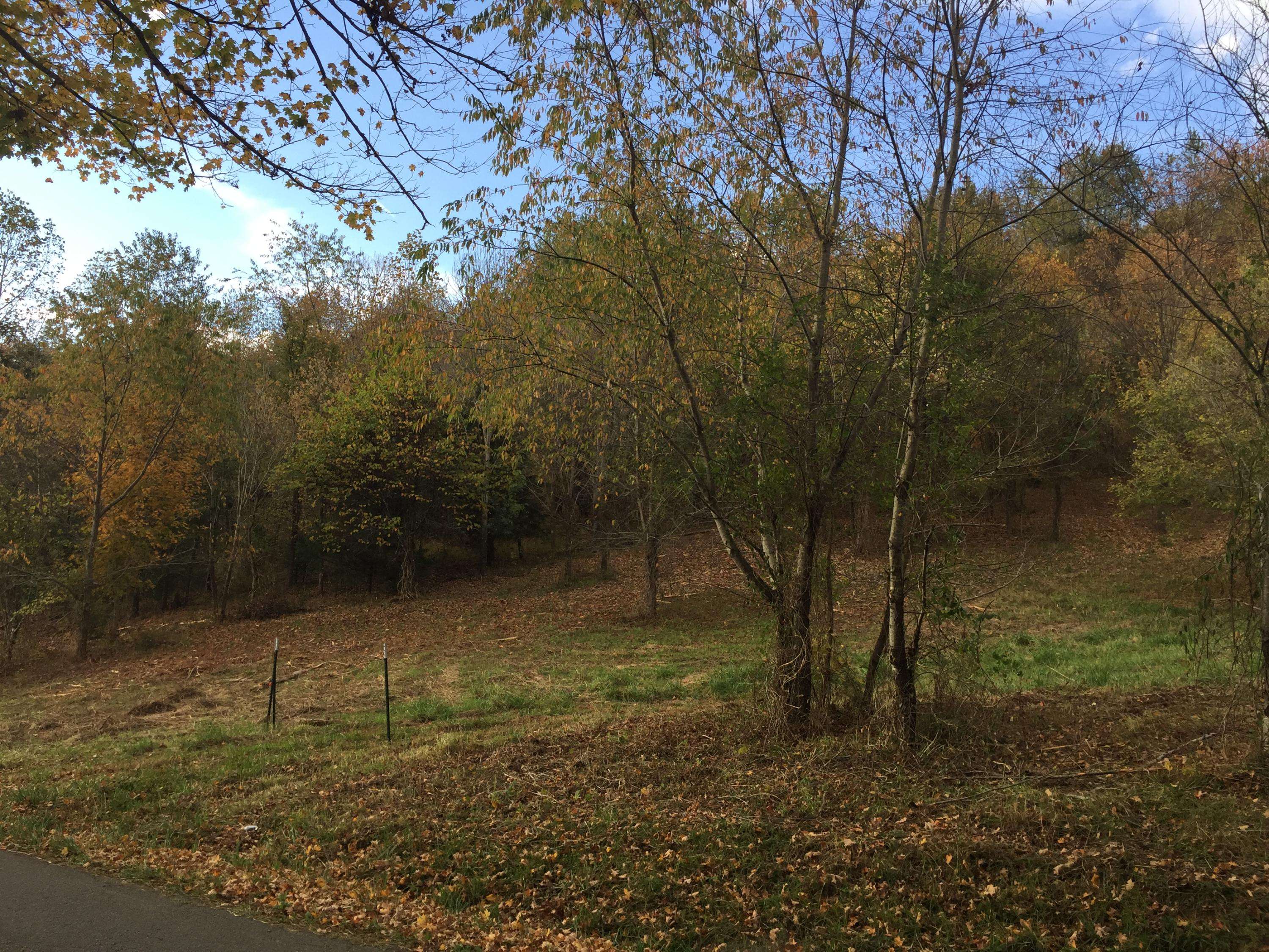 Chuckey, TN 37641,Lot 4 Charles Johnson RD