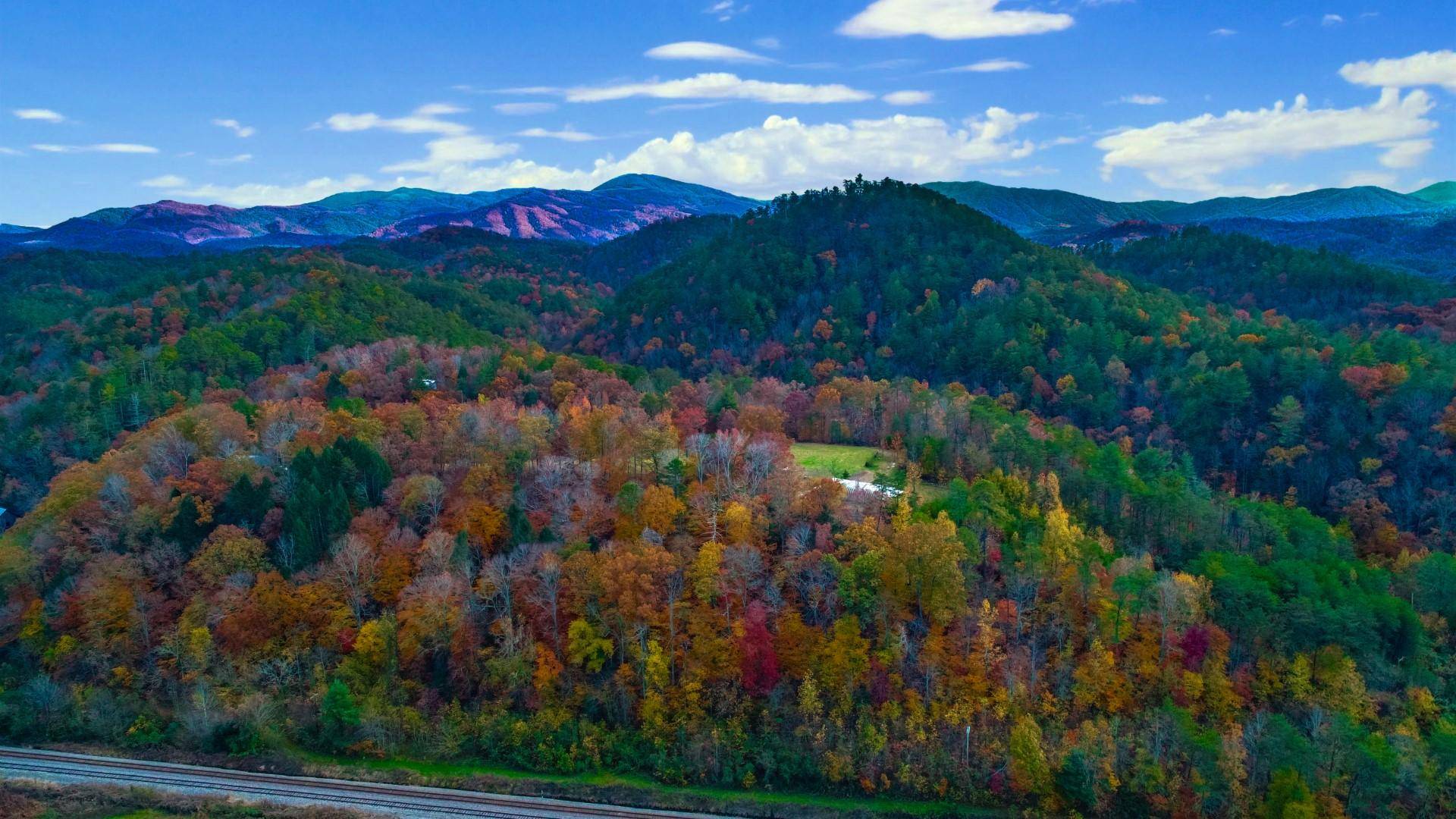 Del Rio, TN 37727,160 Summer House Hollow RD