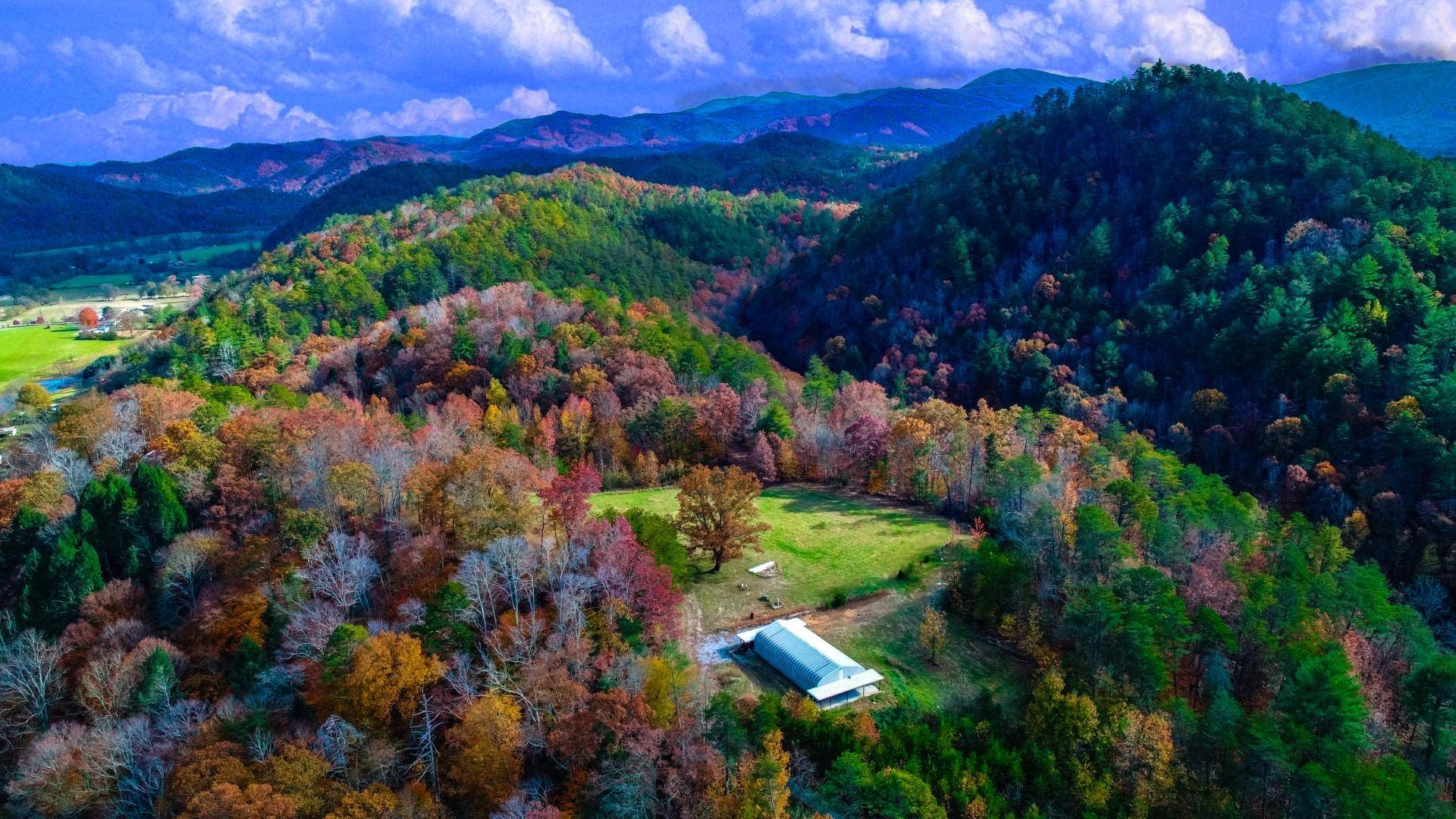Del Rio, TN 37727,160 Summer House Hollow RD