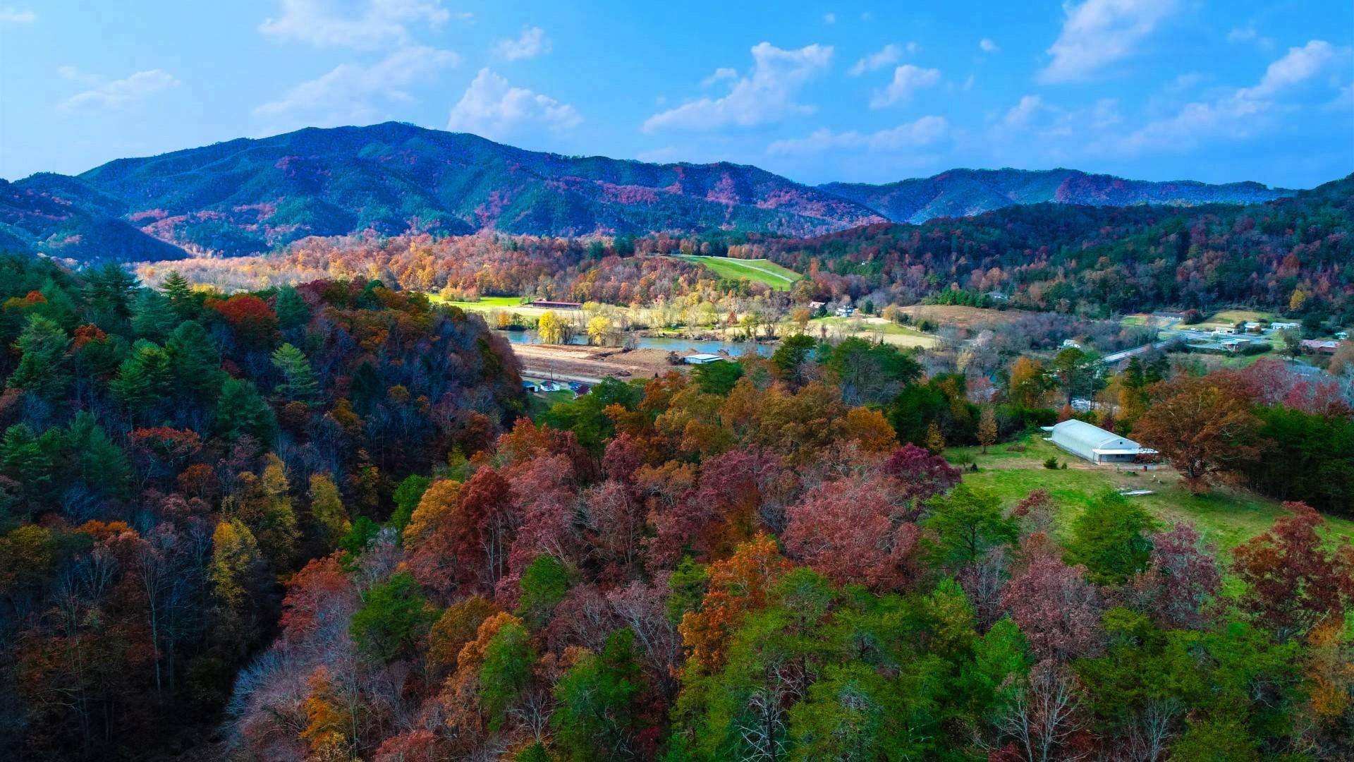 Del Rio, TN 37727,160 Summer House Hollow RD