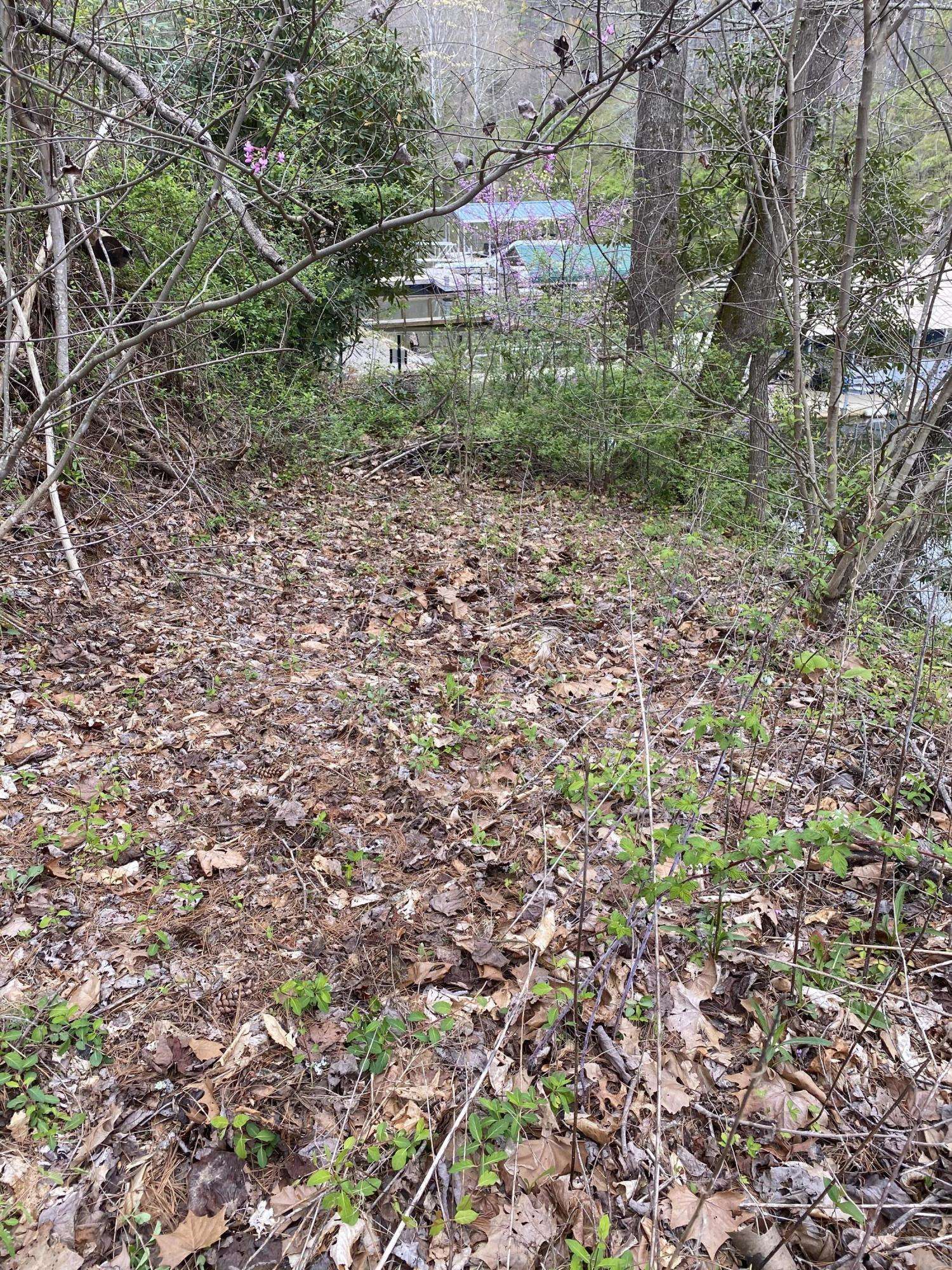 Butler, TN 37640,0 Campbell RD