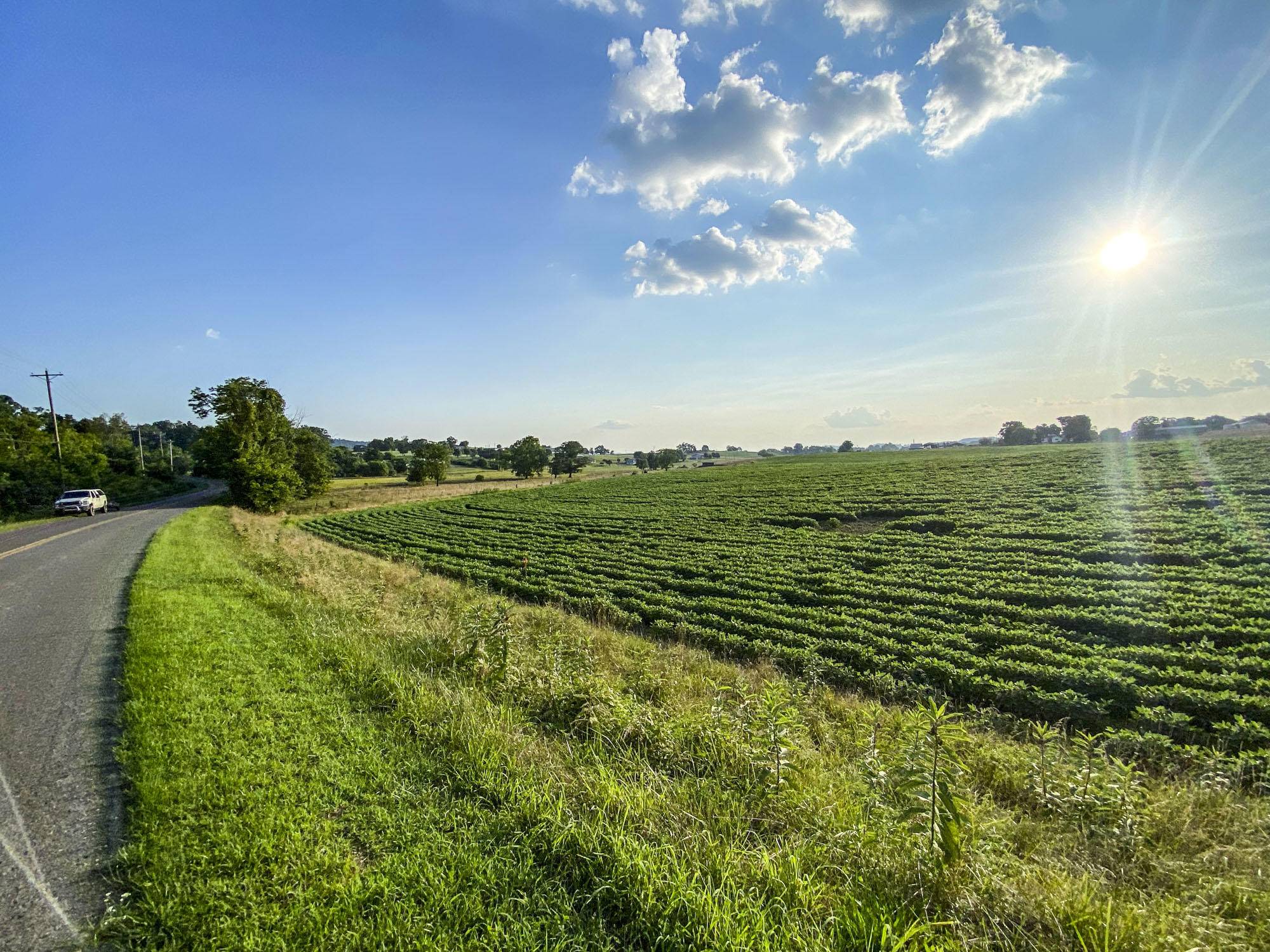 Jefferson City, TN 37760,Lot 3 Flat Gap RD