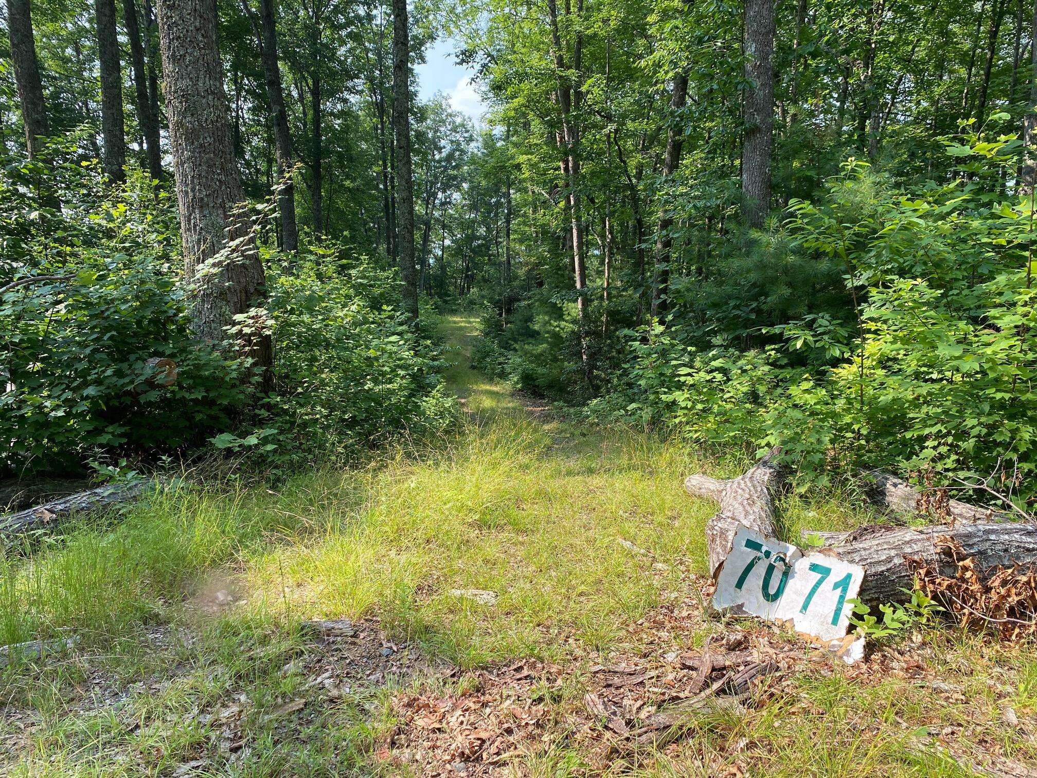 Butler, TN 37640,1405 Tamarack CT