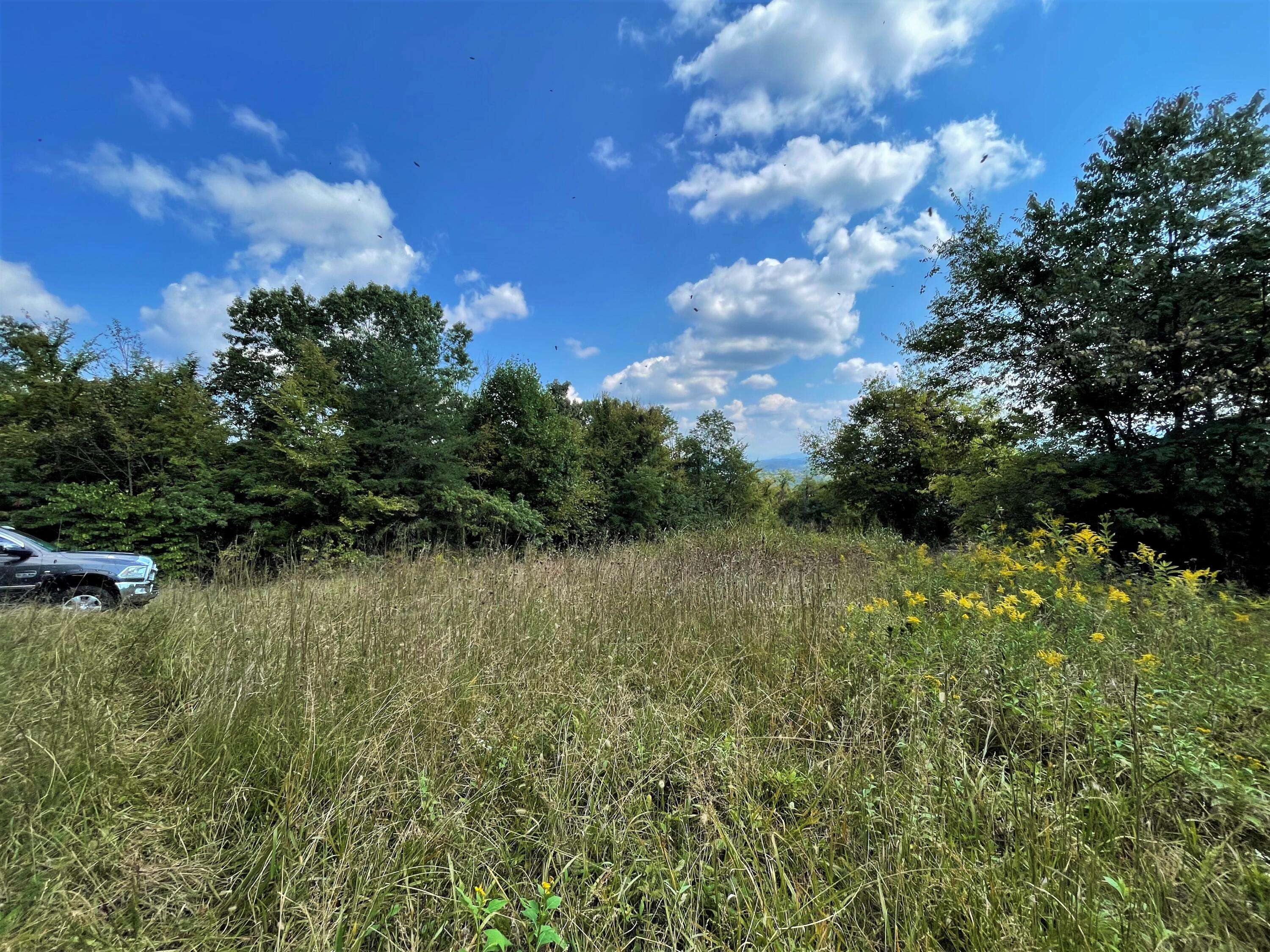 Parrottsville, TN 37843,Lot 20 Oak Hammock CIR
