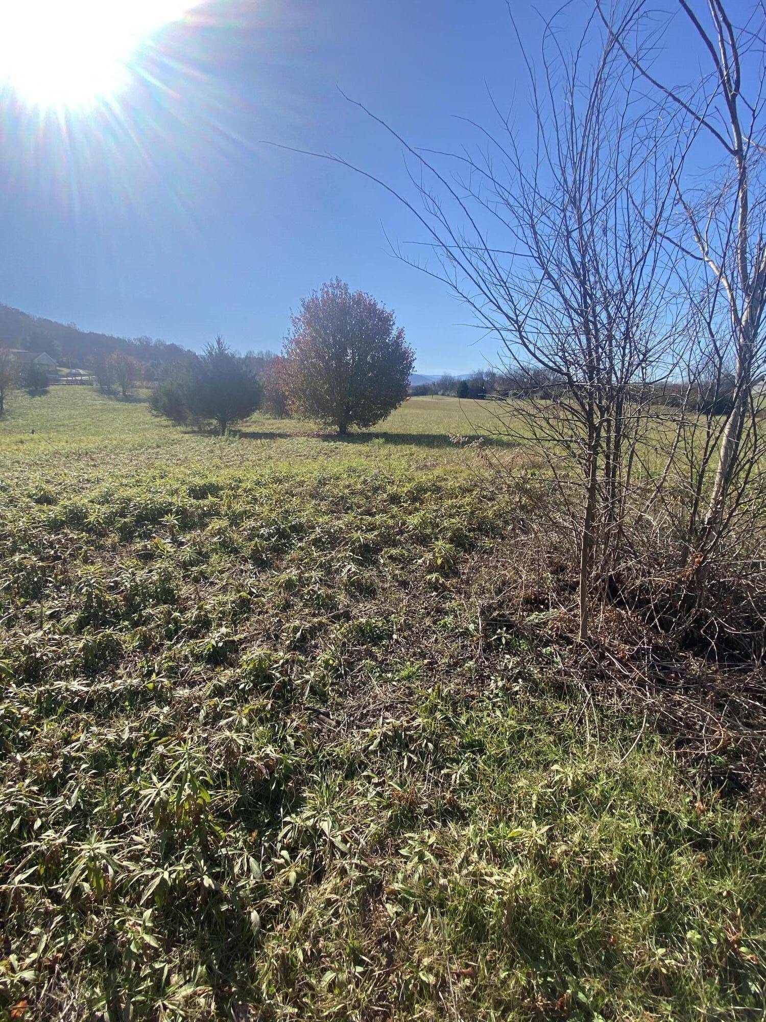 Parrottsville, TN 37843,Lot 42 Secluded River CIR