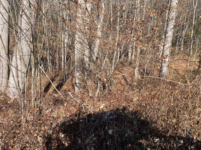 Roan Mountain, TN 37687,Tbd Teaberry RD