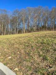 Jonesborough, TN 37659,894 Brady WAY