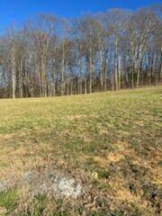 Jonesborough, TN 37659,894 Brady WAY