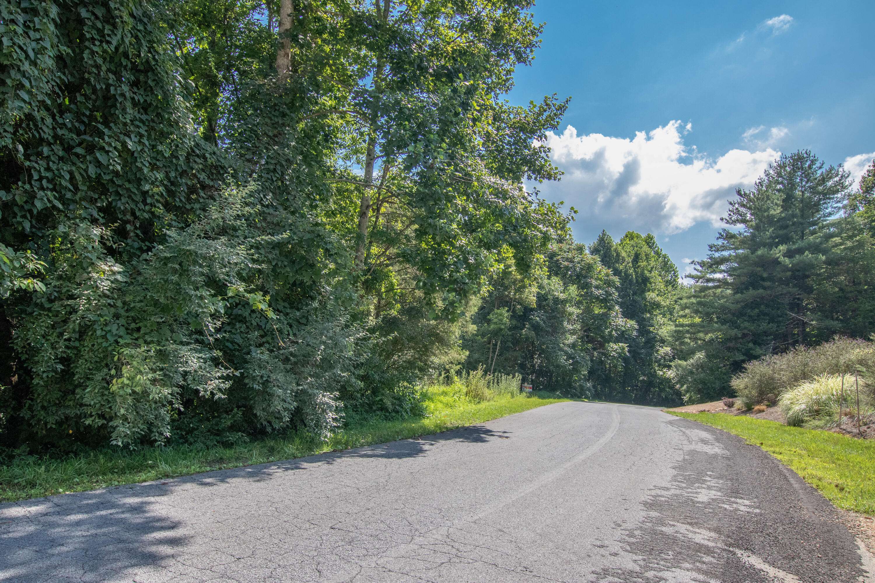 Abingdon, VA 24211,Lot 46 Tbd Preston Place DR