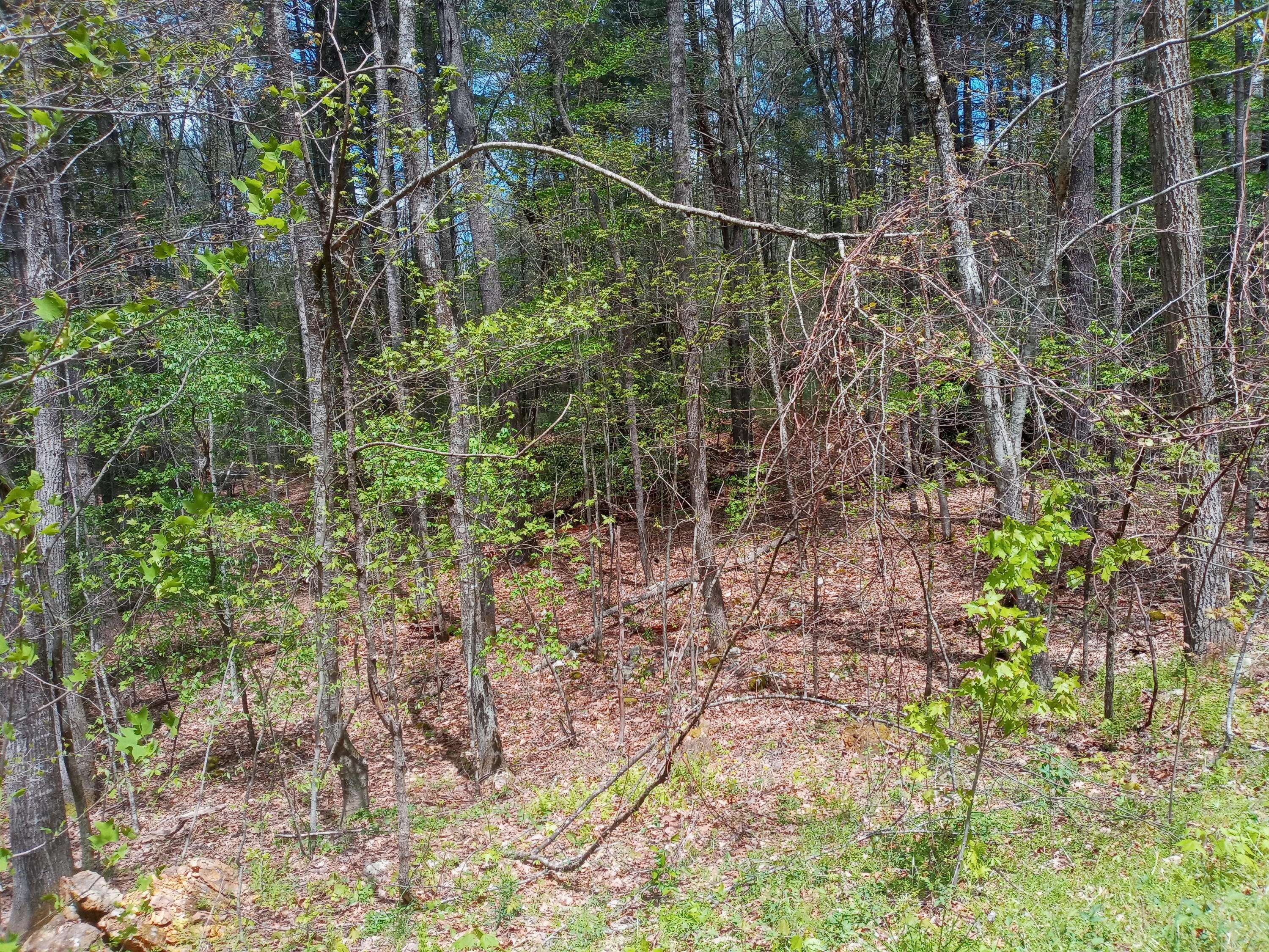 Mountain City, TN 37683,00 Buckshot LN