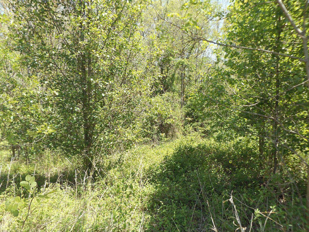 Jonesborough, TN 37659,292 Holland View DR