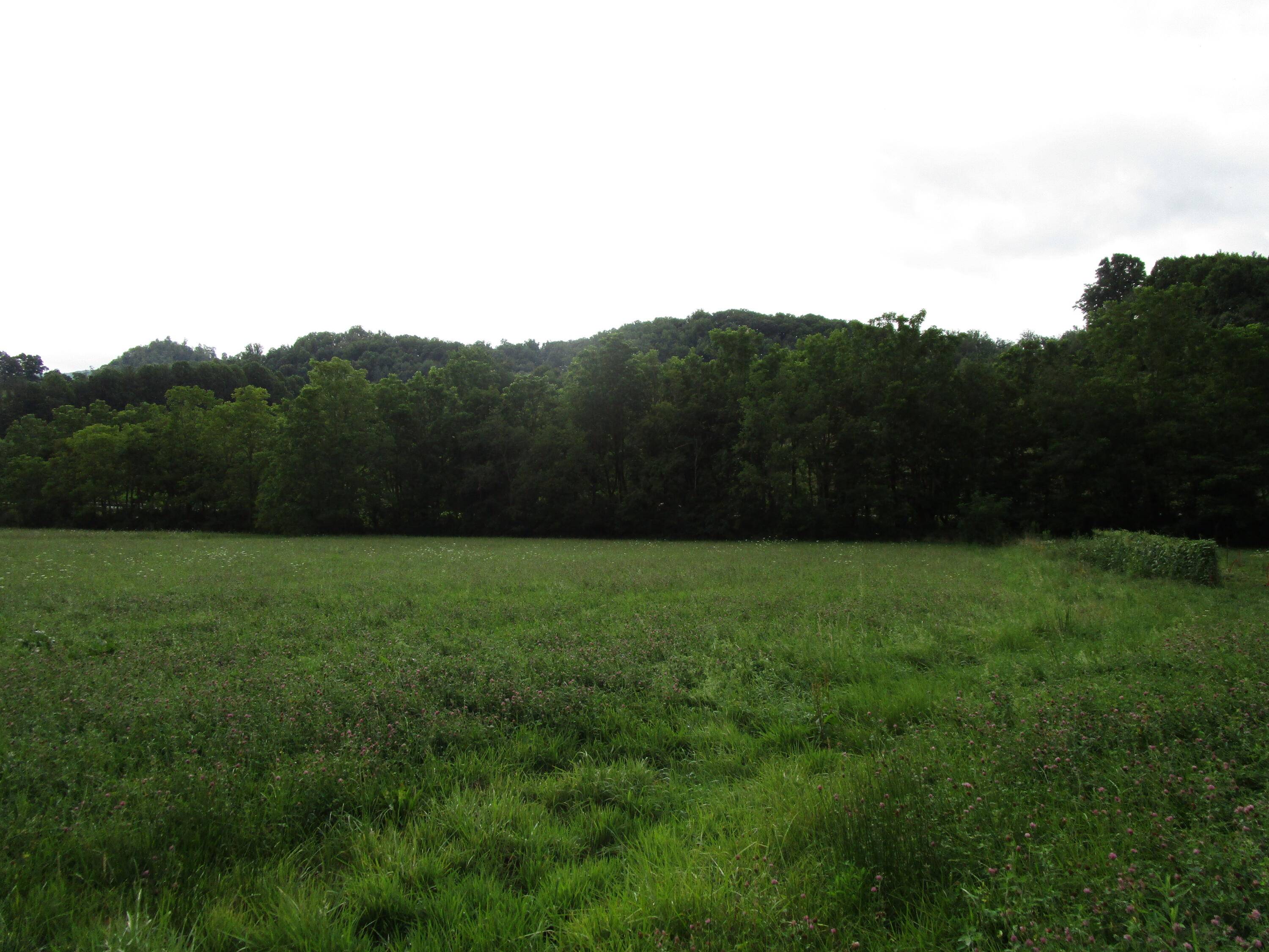 Roan Mountain, TN 37687,Tbd Buck Creek RD