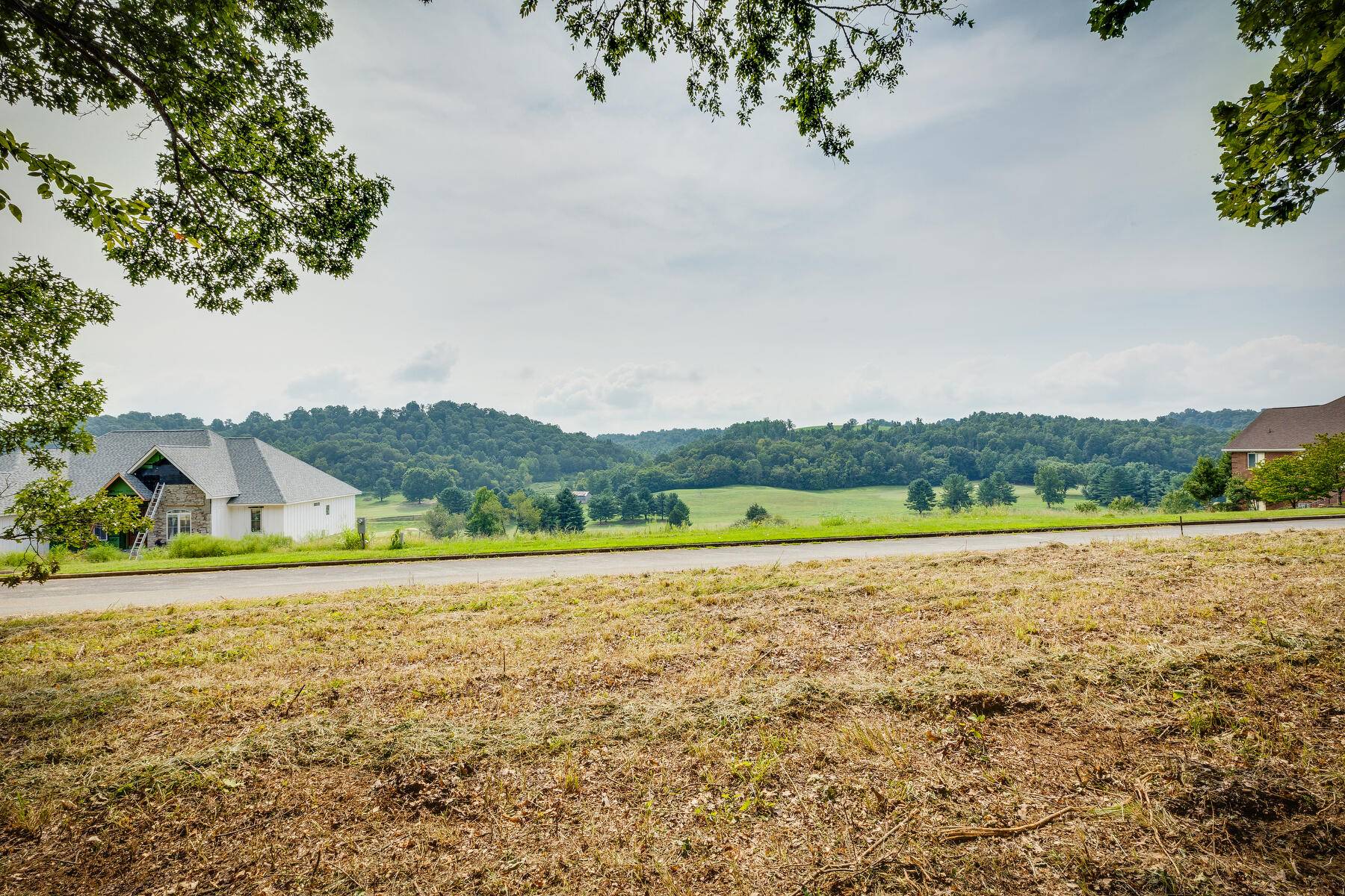 Chuckey, TN 37641,Lot 42 Chimney Top LN