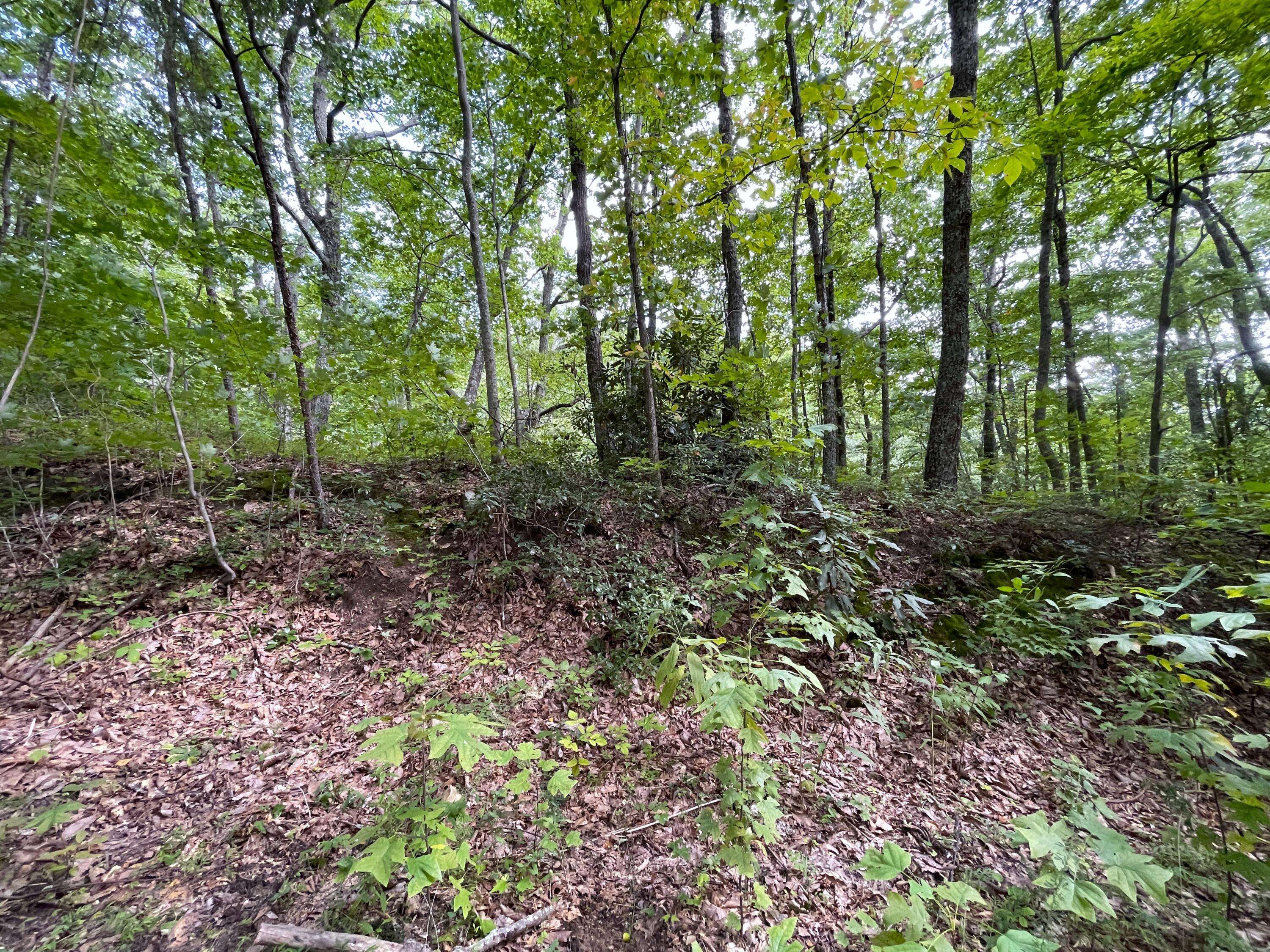 Sevierville, TN 37876,Lot 65 Green Bay DR