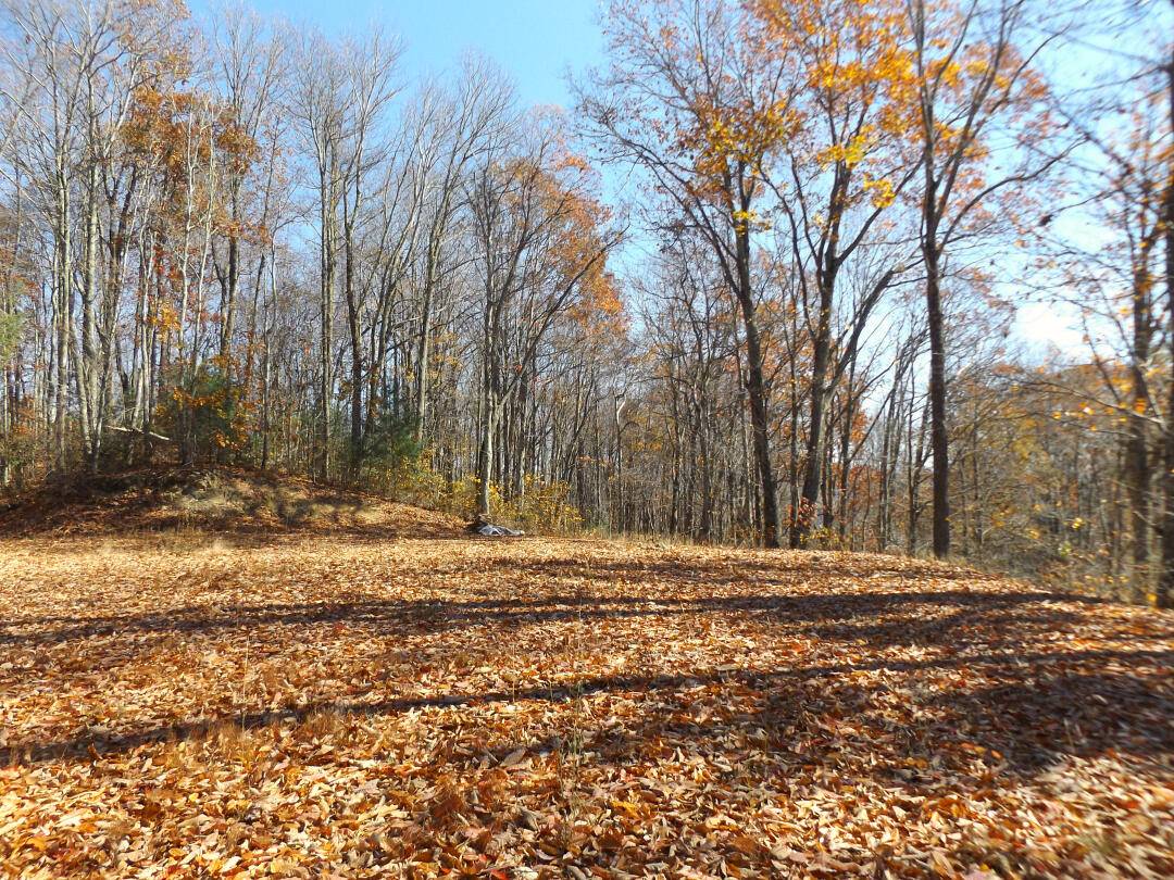 Butler, TN 37640,Lot 11b Tulip Poplar TRL