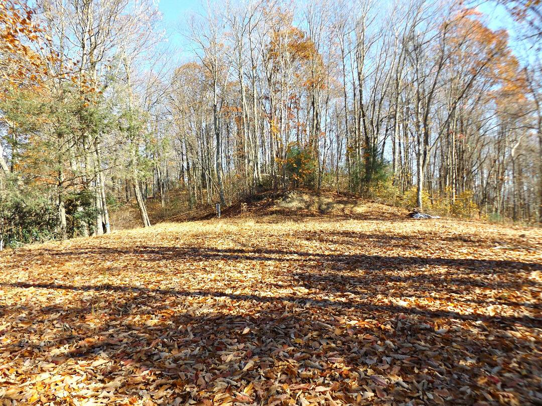 Butler, TN 37640,Lot 11b Tulip Poplar TRL