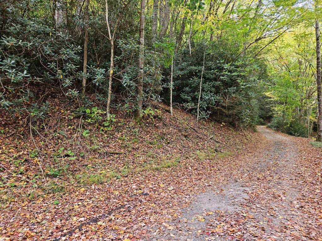 Damascus, VA 24236,14b Lot Pennington Branch RD