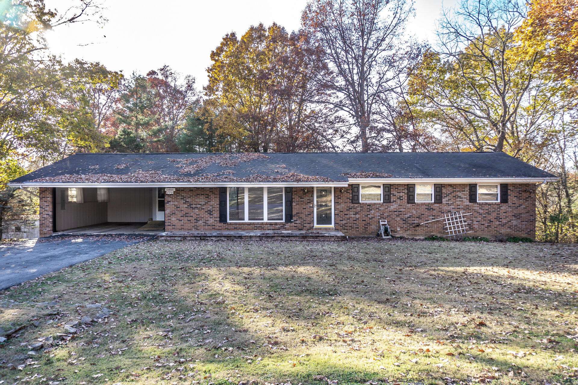 Greeneville, TN 37743,290 Wooded HTS