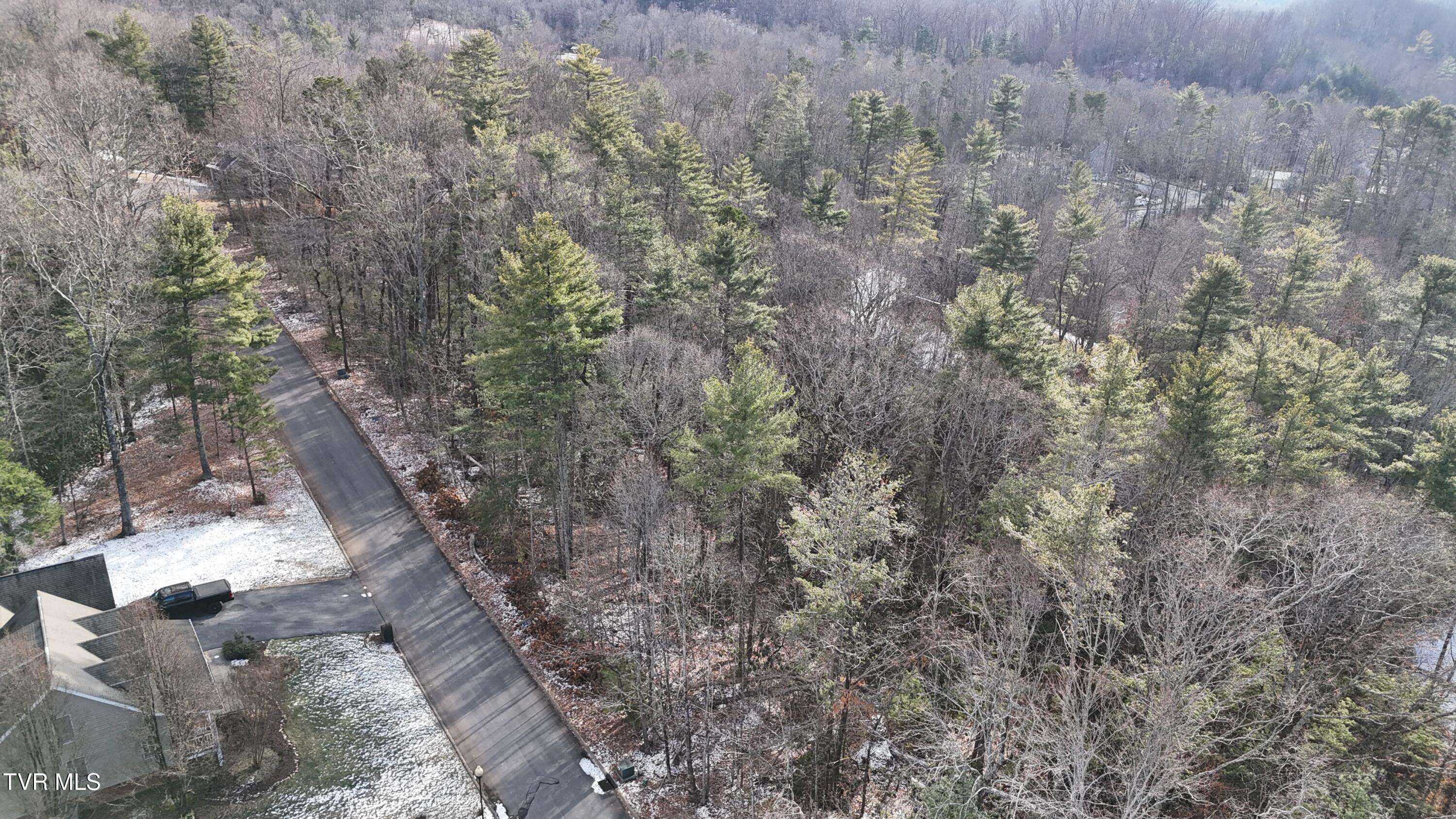 Unicoi, TN 37692,Tr 9 Mountain Laurel CT