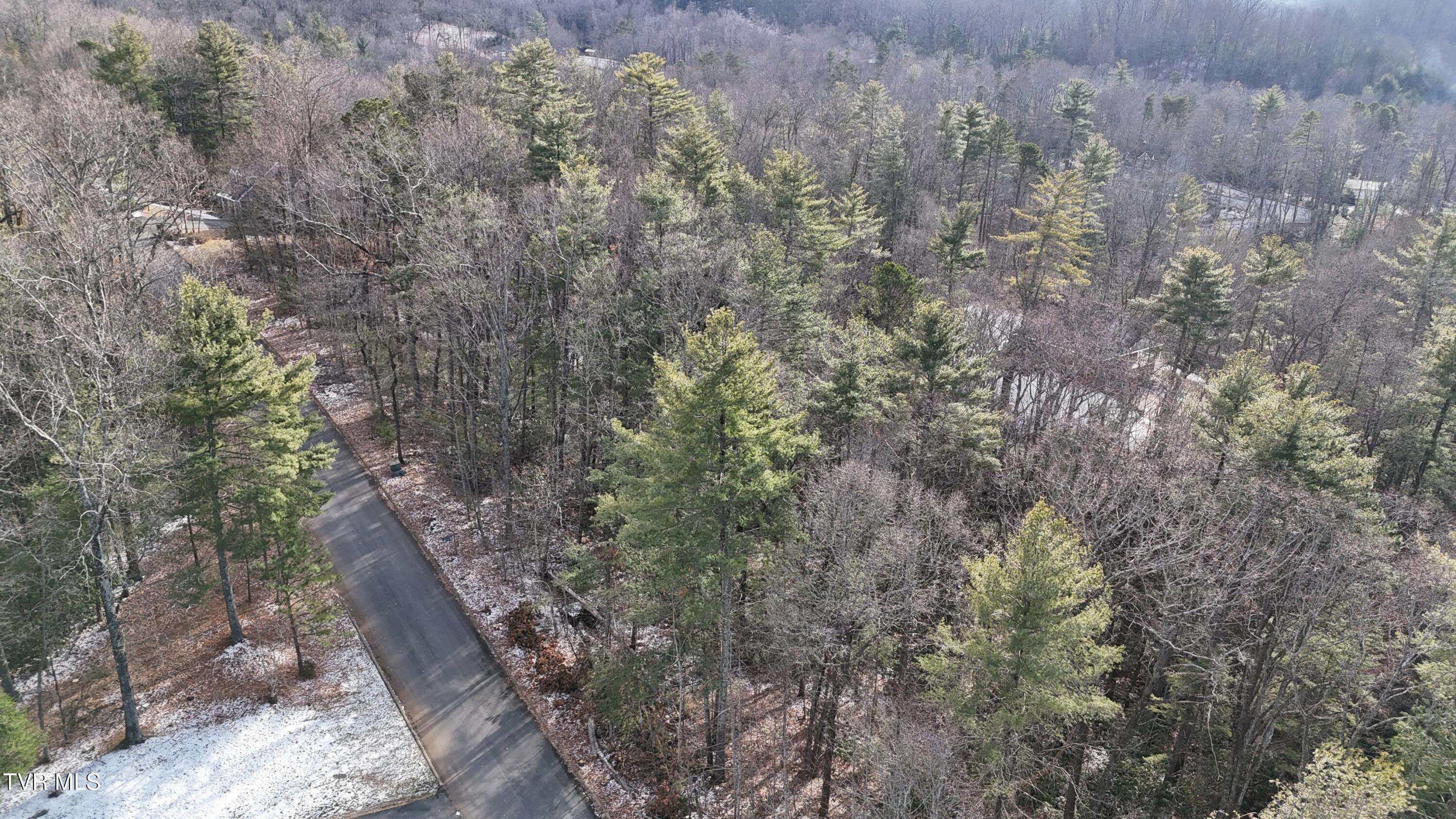 Unicoi, TN 37692,Tr 9 Mountain Laurel CT