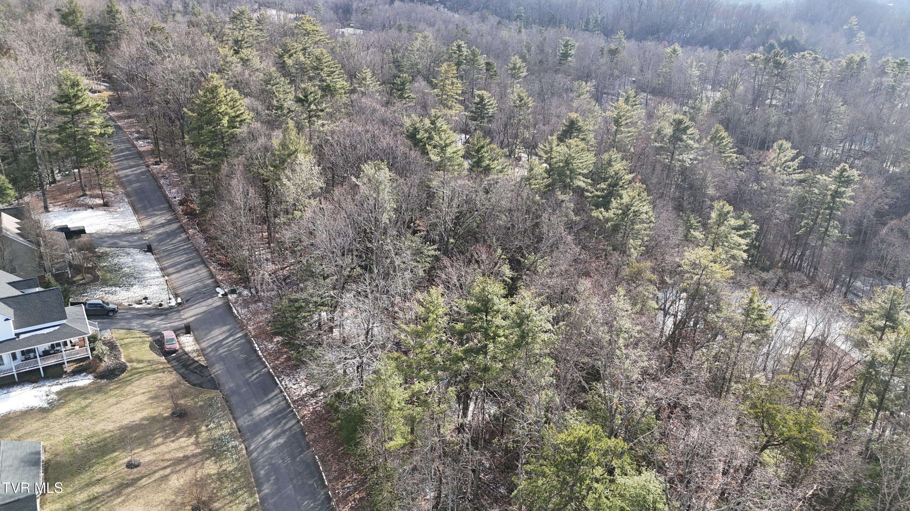 Unicoi, TN 37692,Tr 24 Mountain Laurel CT