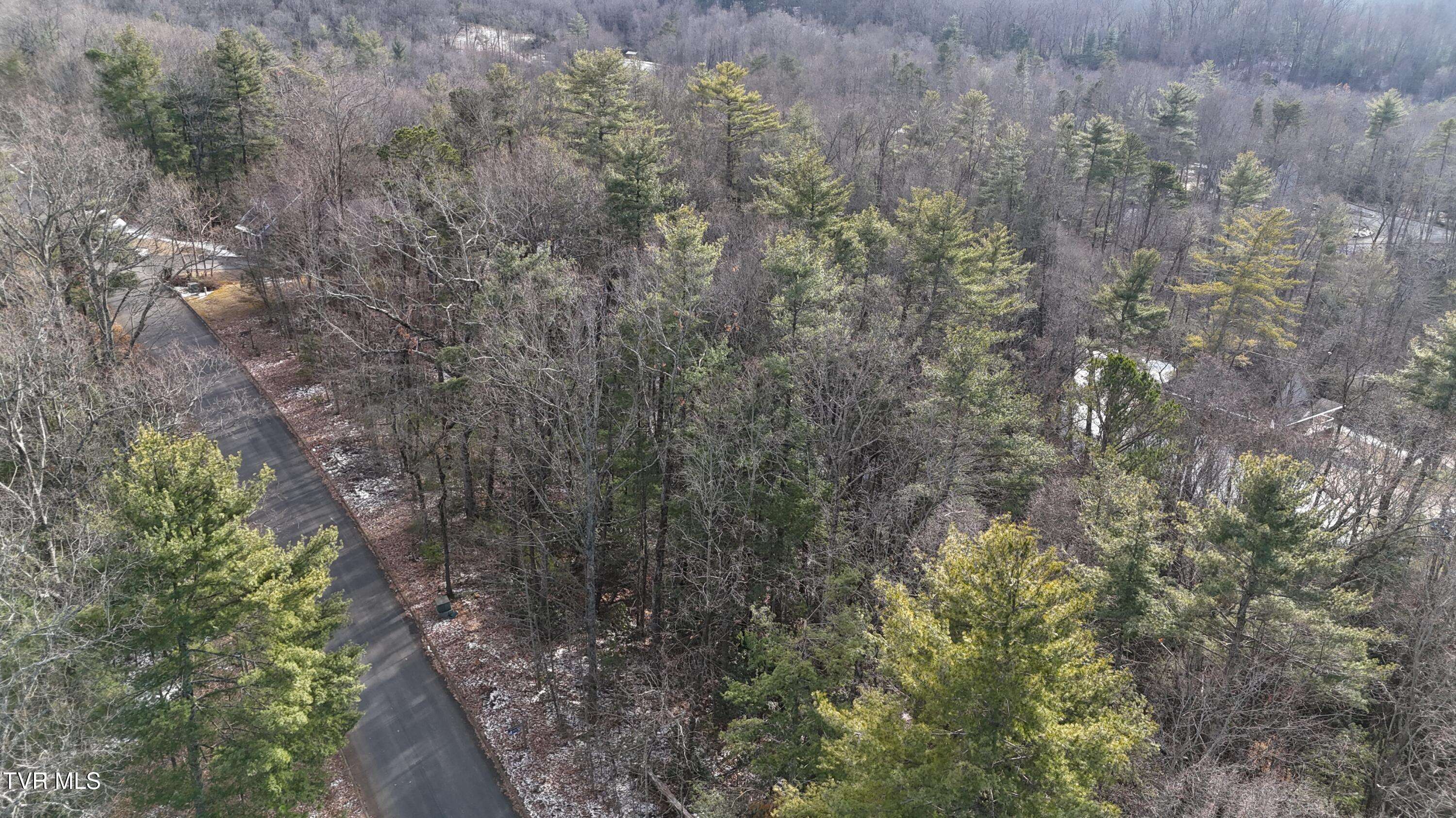 Unicoi, TN 37692,Tr 24 Mountain Laurel CT