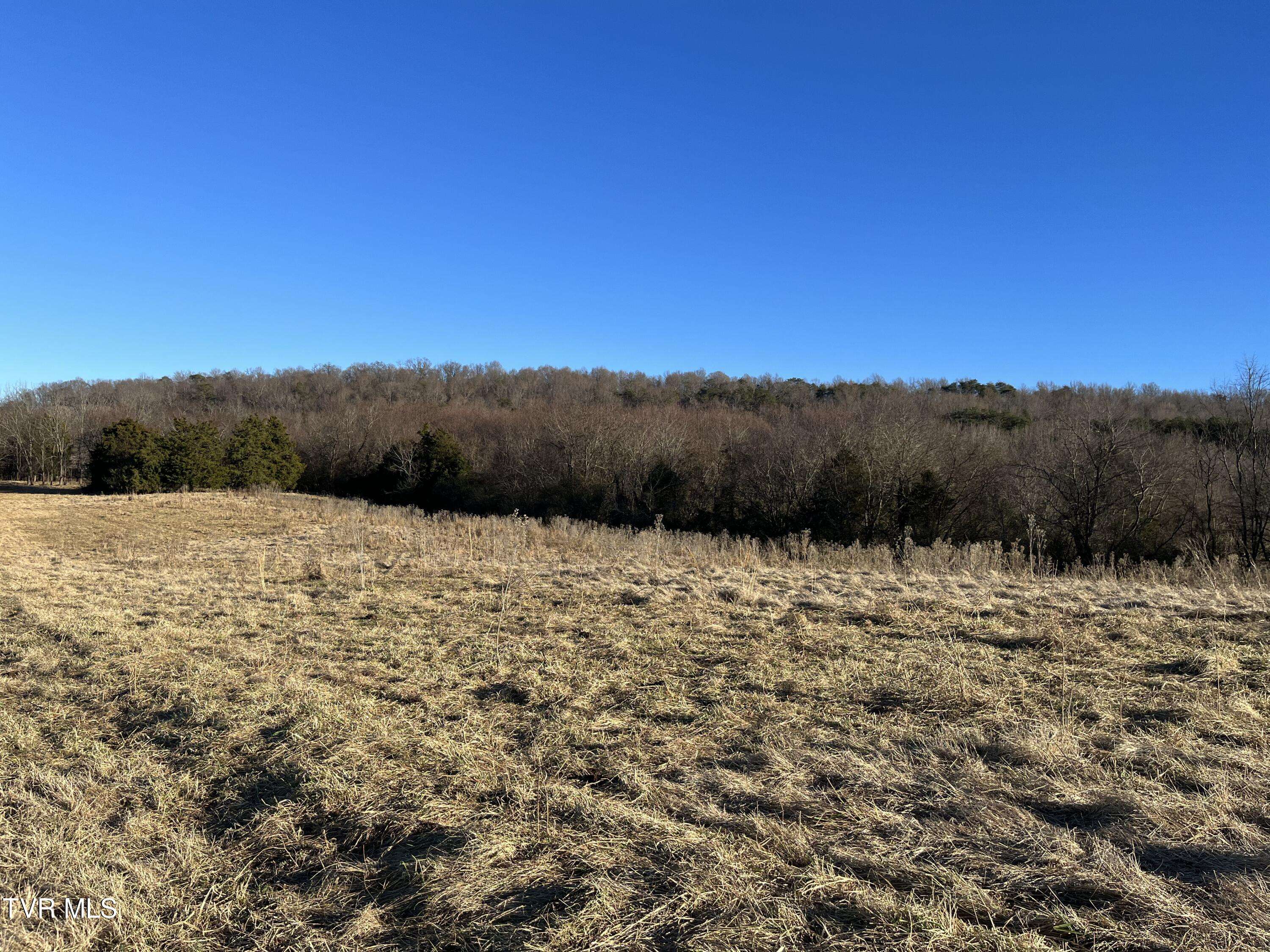 Greeneville, TN 37743,Tbd Lot 2 Old Asheville HWY