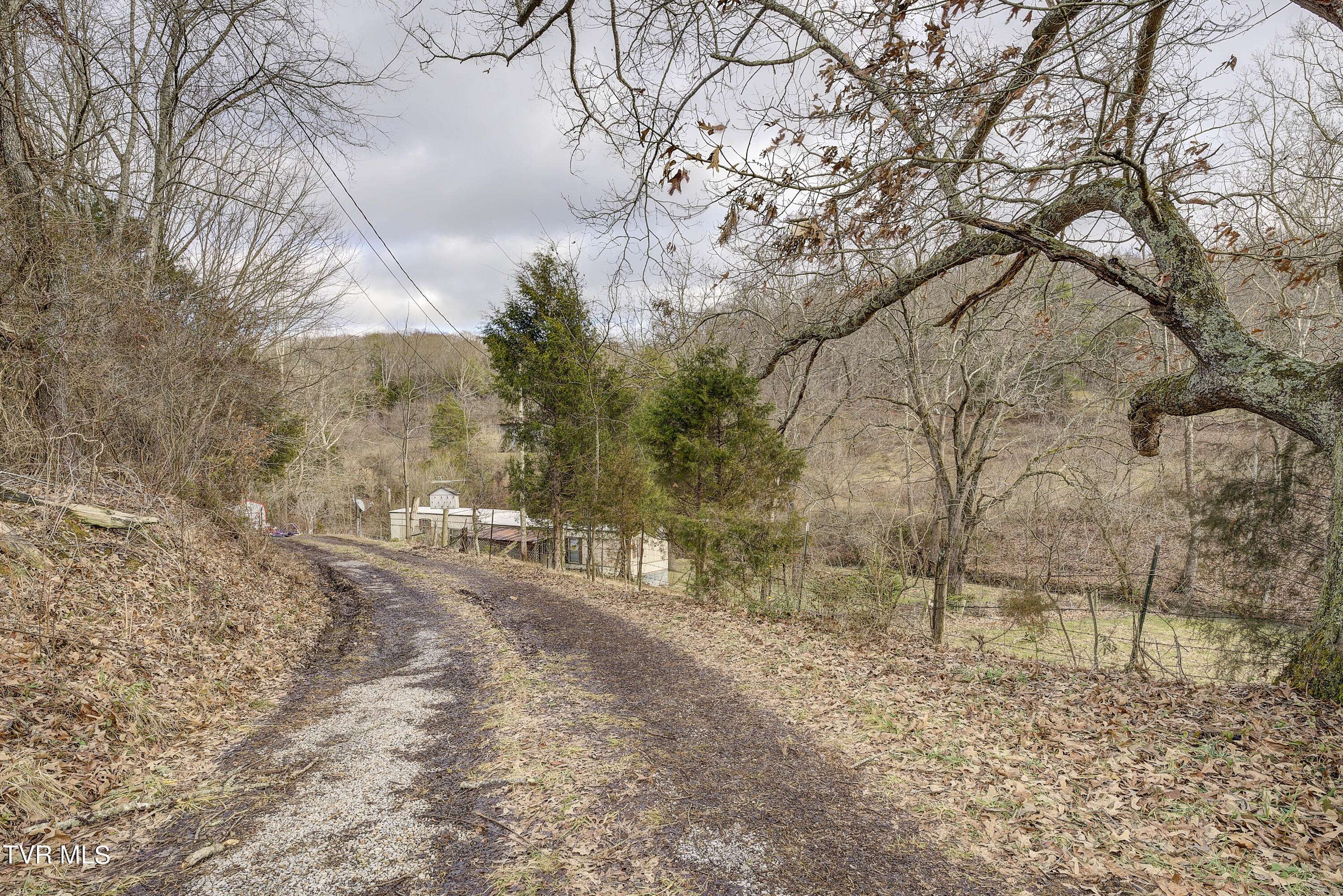 Chuckey, TN 37641,1295 Clear Creek RD