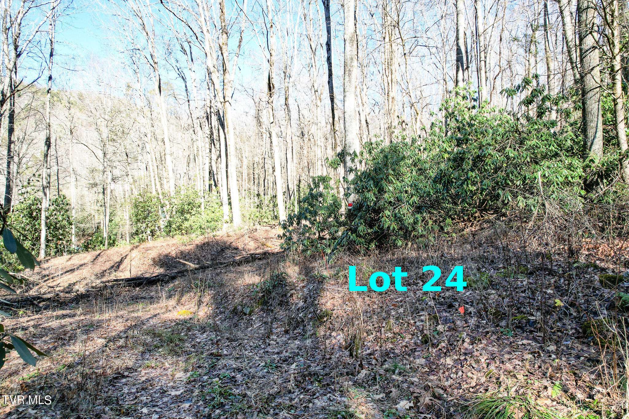 Greeneville, TN 37743,Lot 24 Honey Dew DR