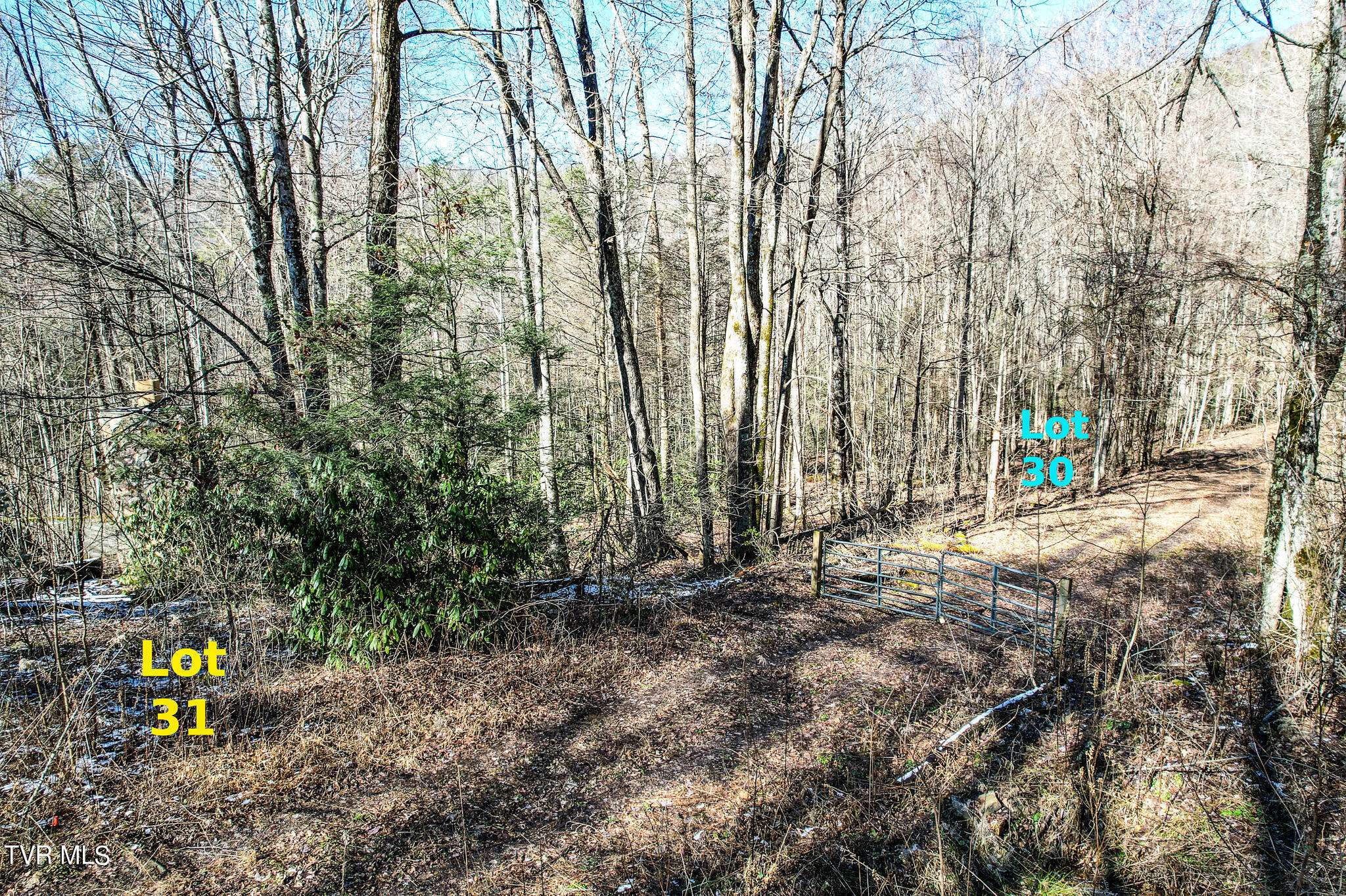 Greeneville, TN 37743,Lot 30 Hemlock DR