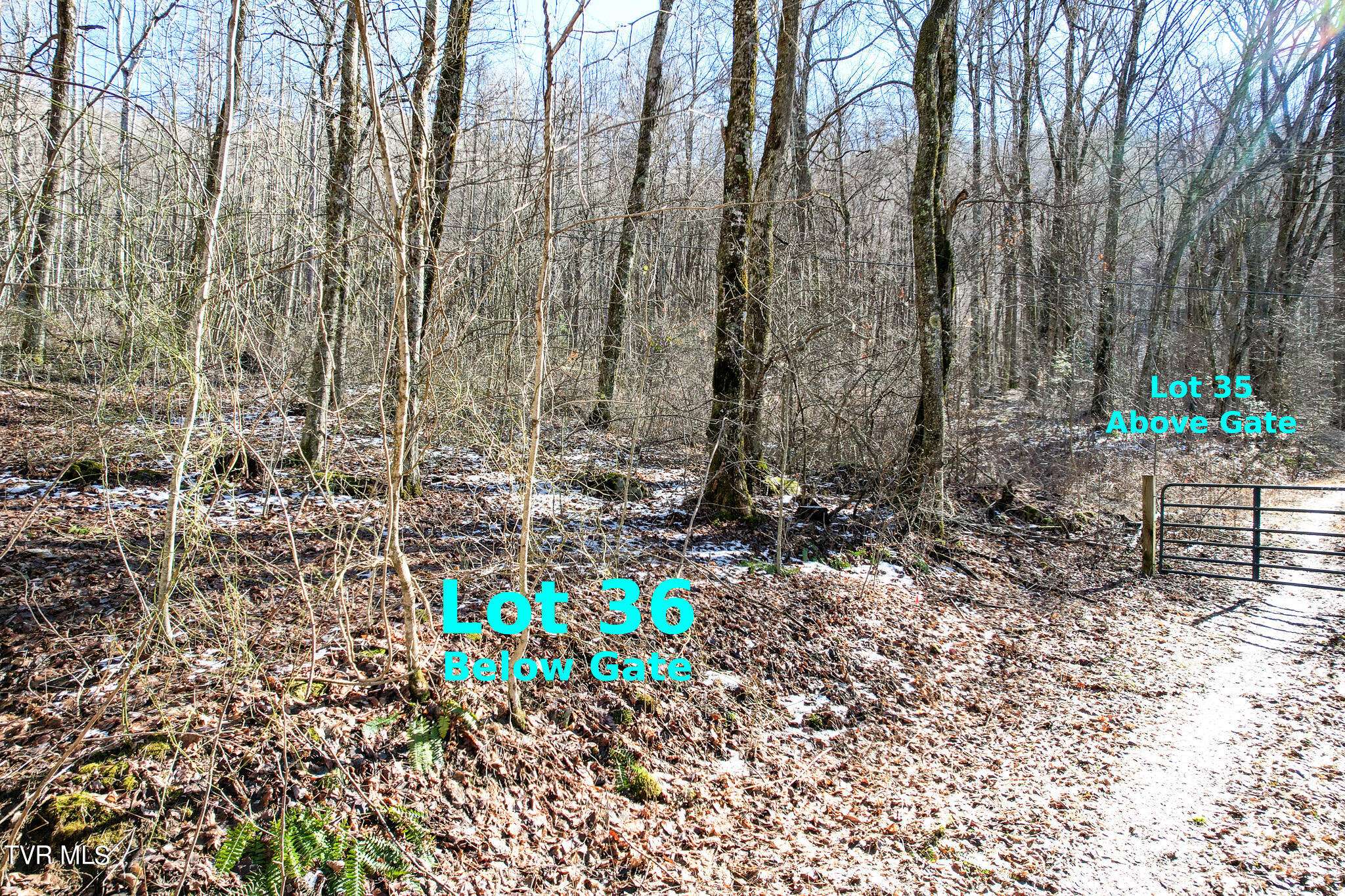 Greeneville, TN 37743,Lot 35 Hemlock DR