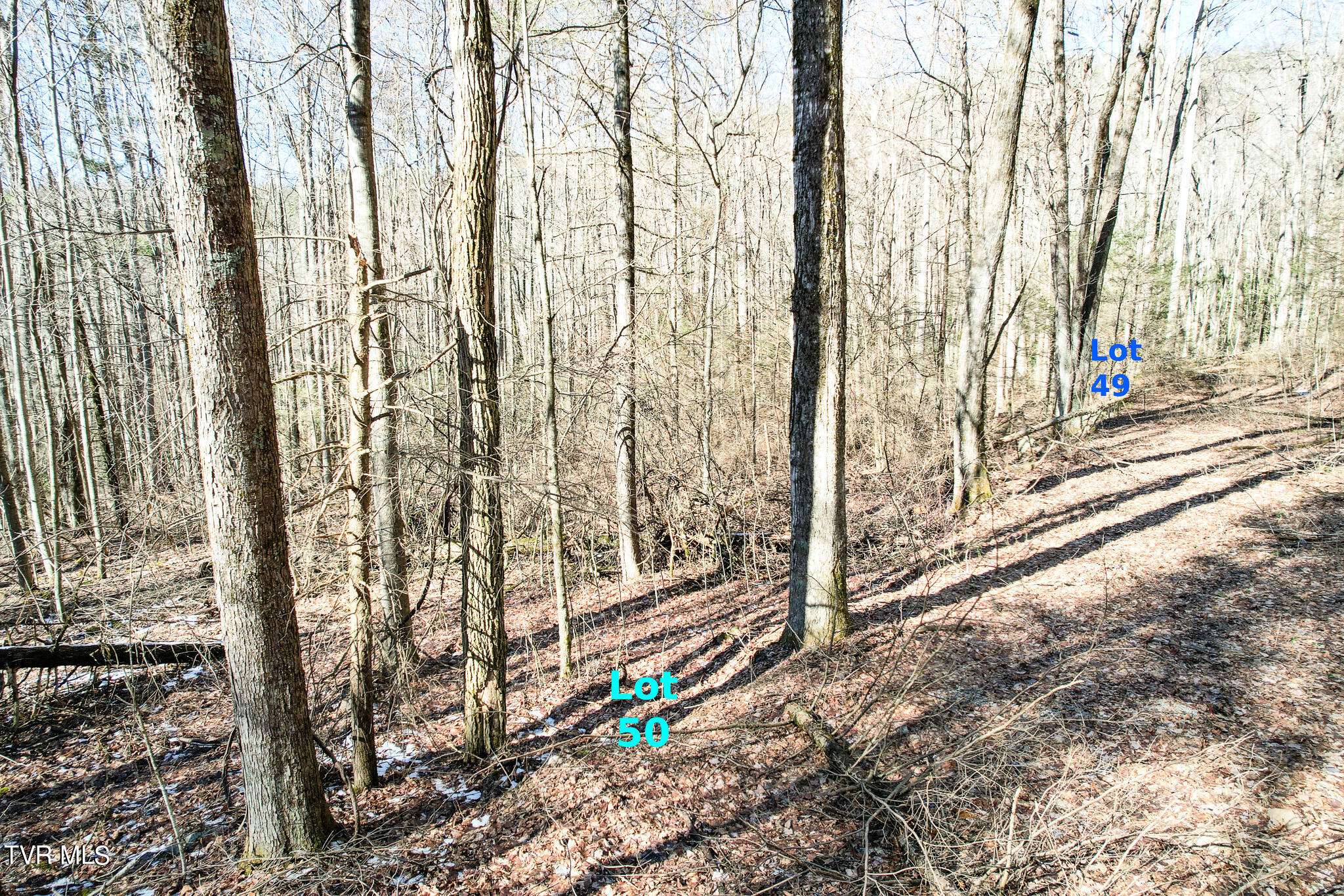 Greeneville, TN 37743,Lot 49 Hemlock DR