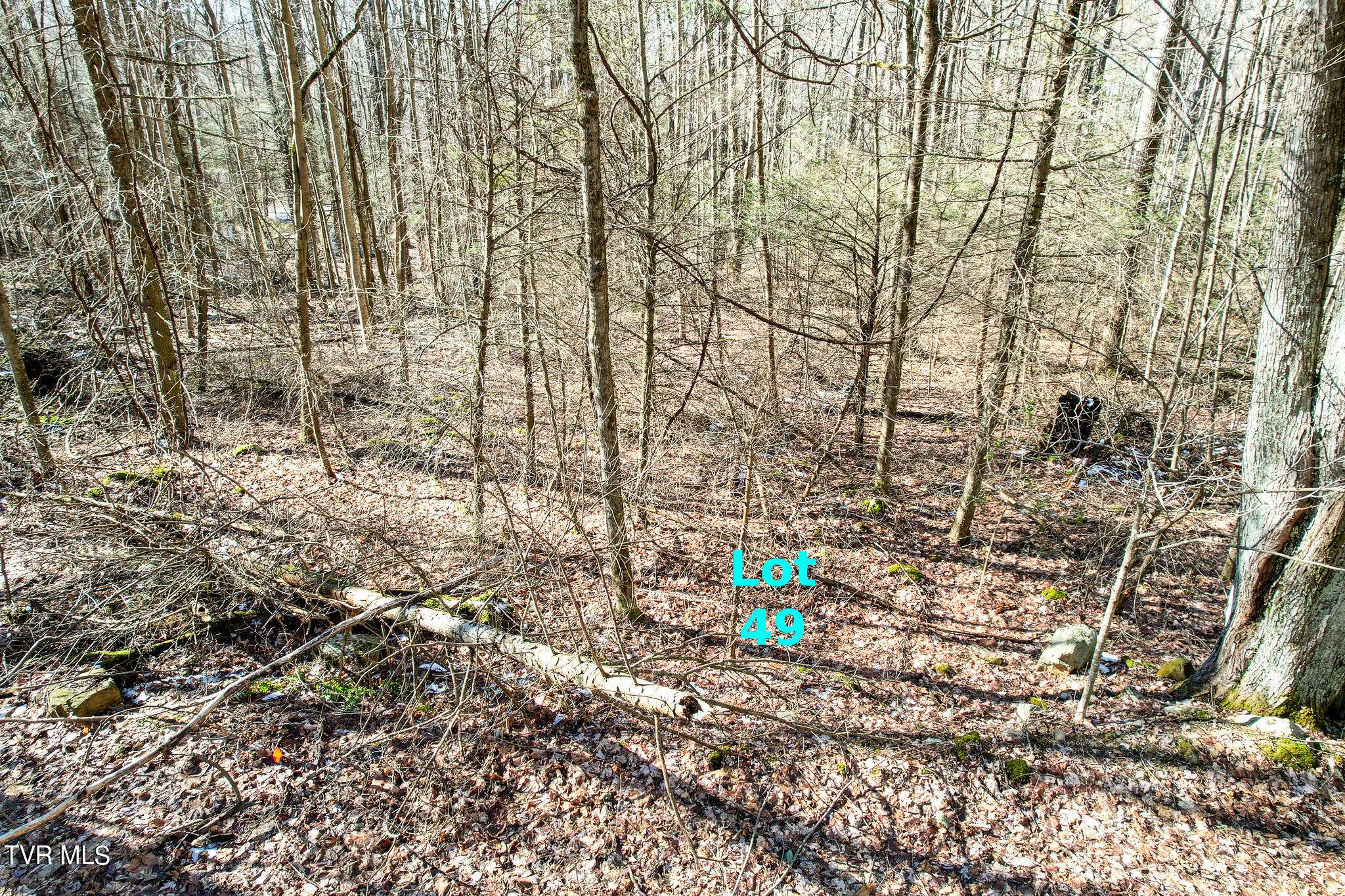 Greeneville, TN 37743,Lot 49 Hemlock DR