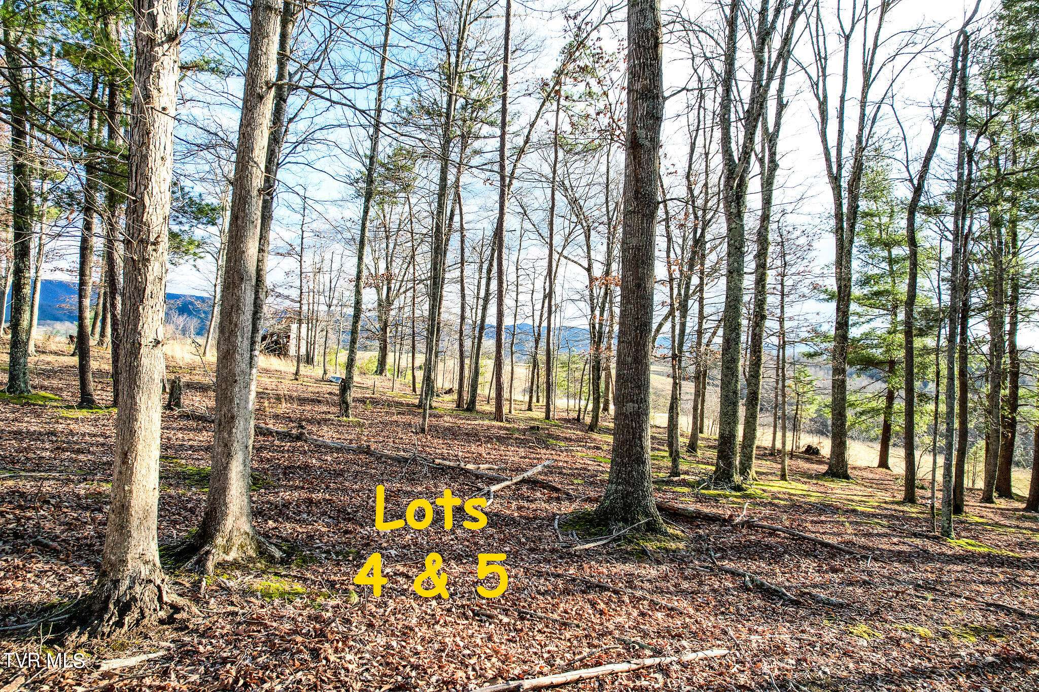Chuckey, TN 37641,Lots 4&5 Frank Roberts RD