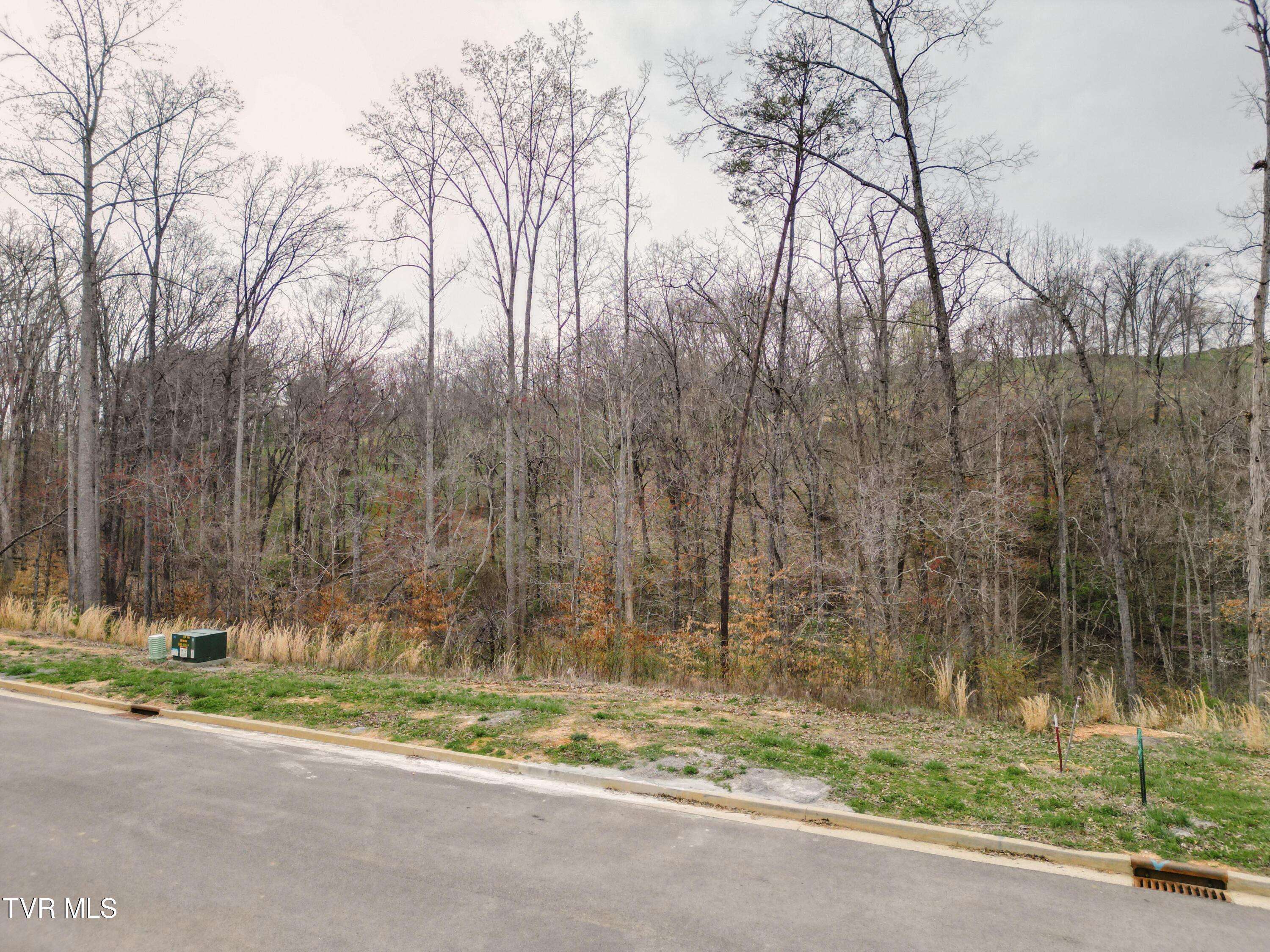 Morristown, TN 37814,Lot 30 Bridgewater BLVD