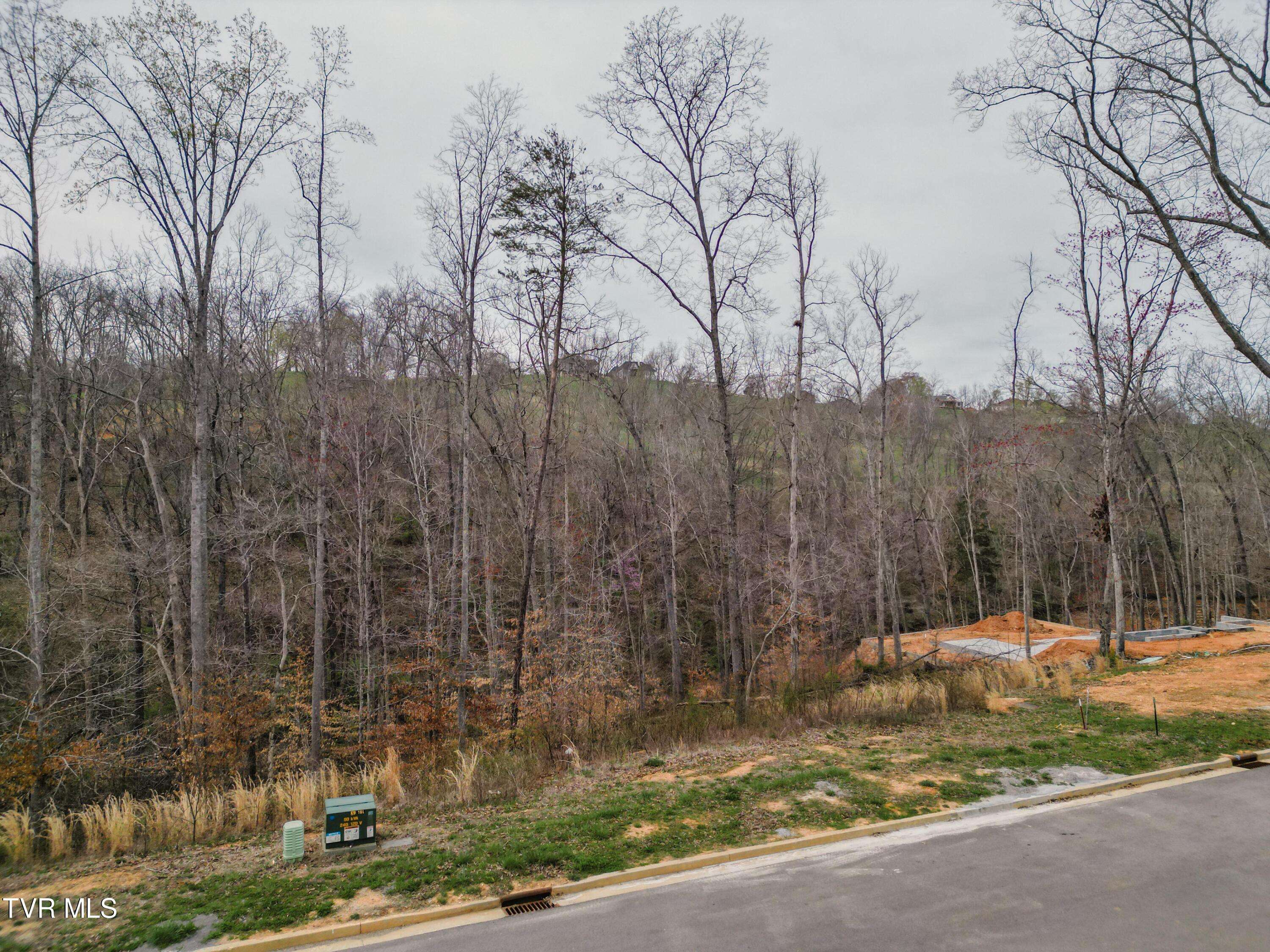 Morristown, TN 37814,Lot 30 Bridgewater BLVD